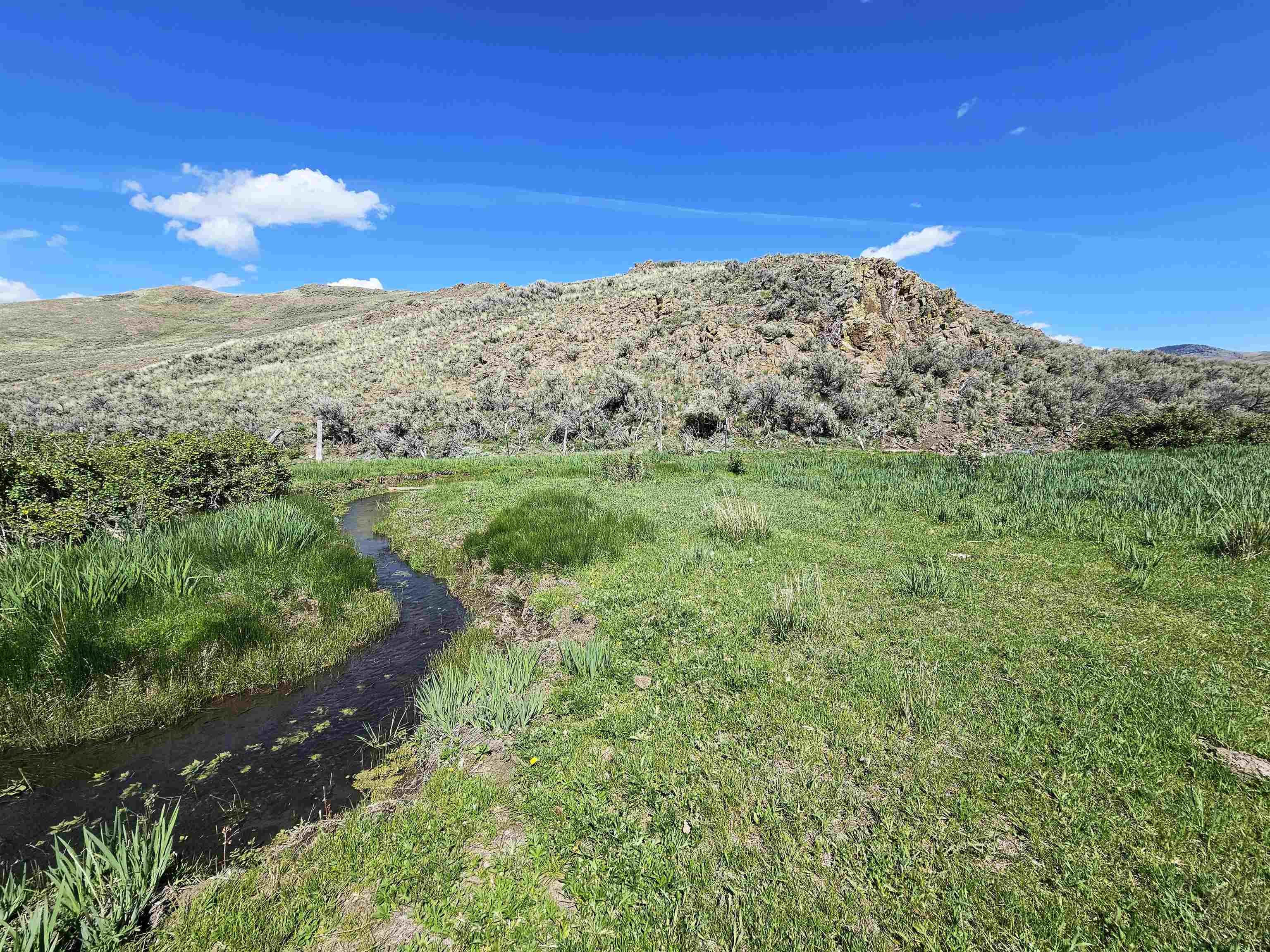 Lot 10 Dry Fork Rd, Moore, Idaho image 10