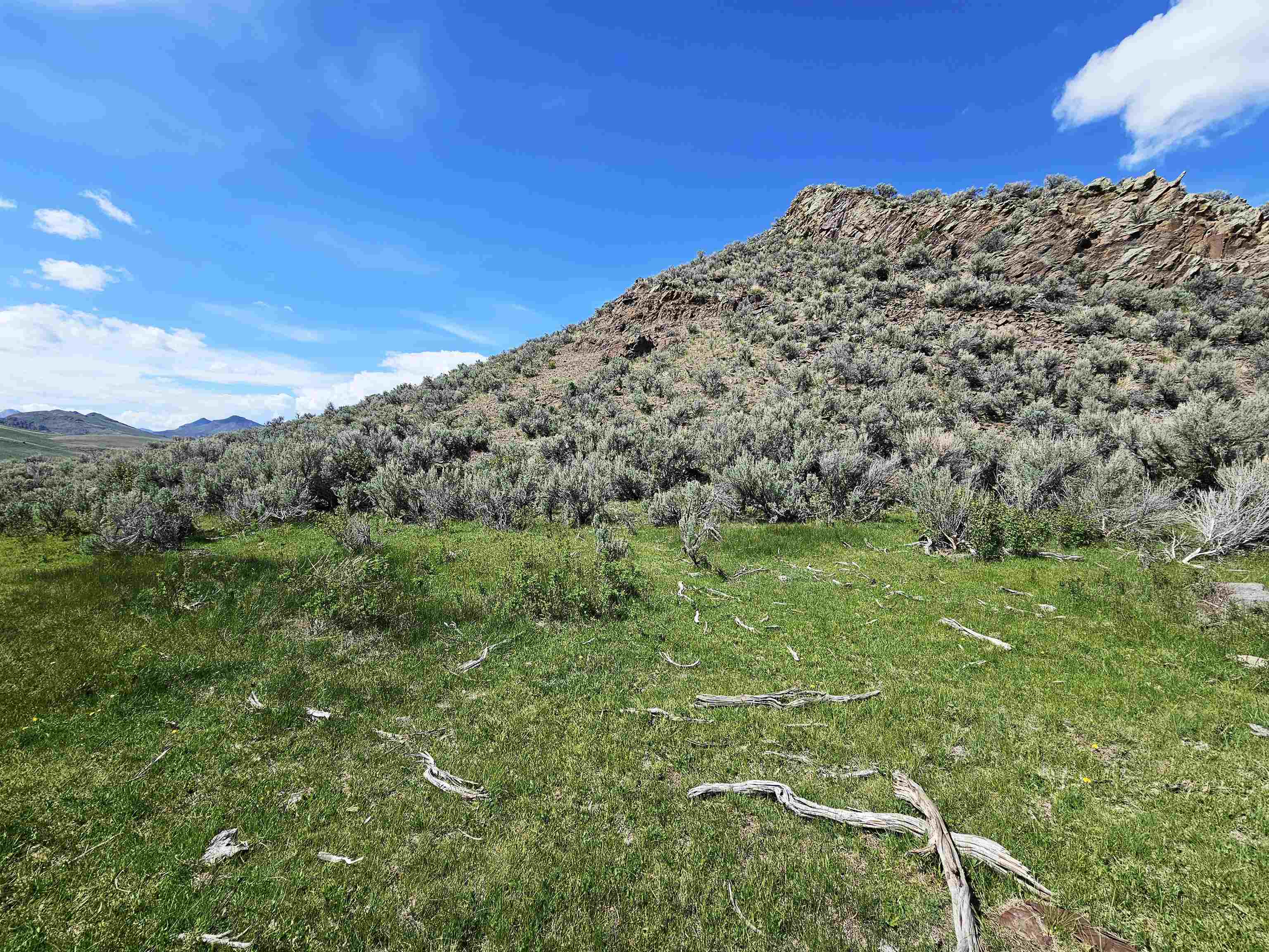 Lot 10 Dry Fork Rd, Moore, Idaho image 25