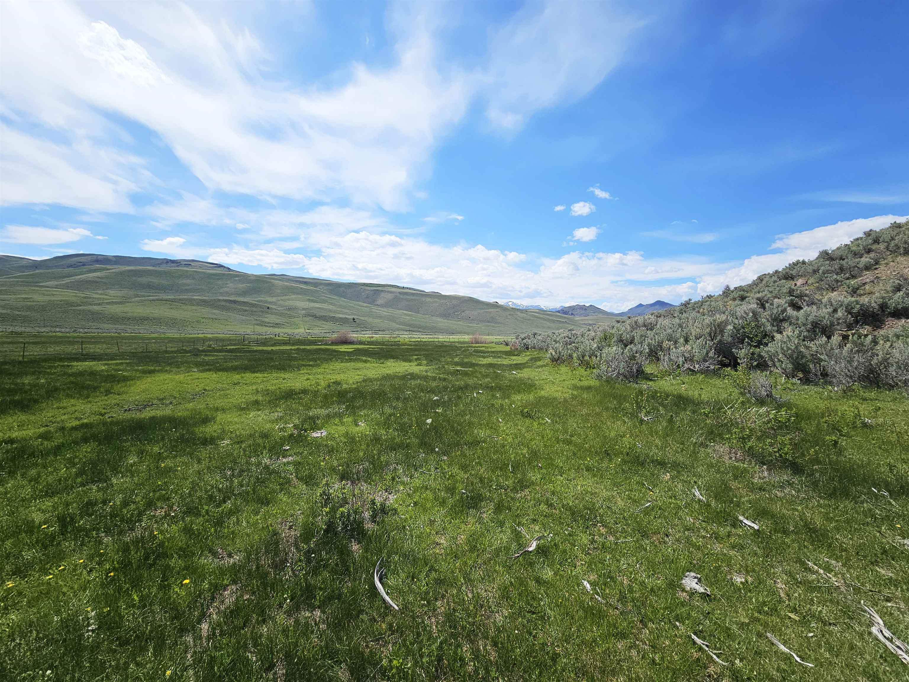 Lot 10 Dry Fork Rd, Moore, Idaho image 11