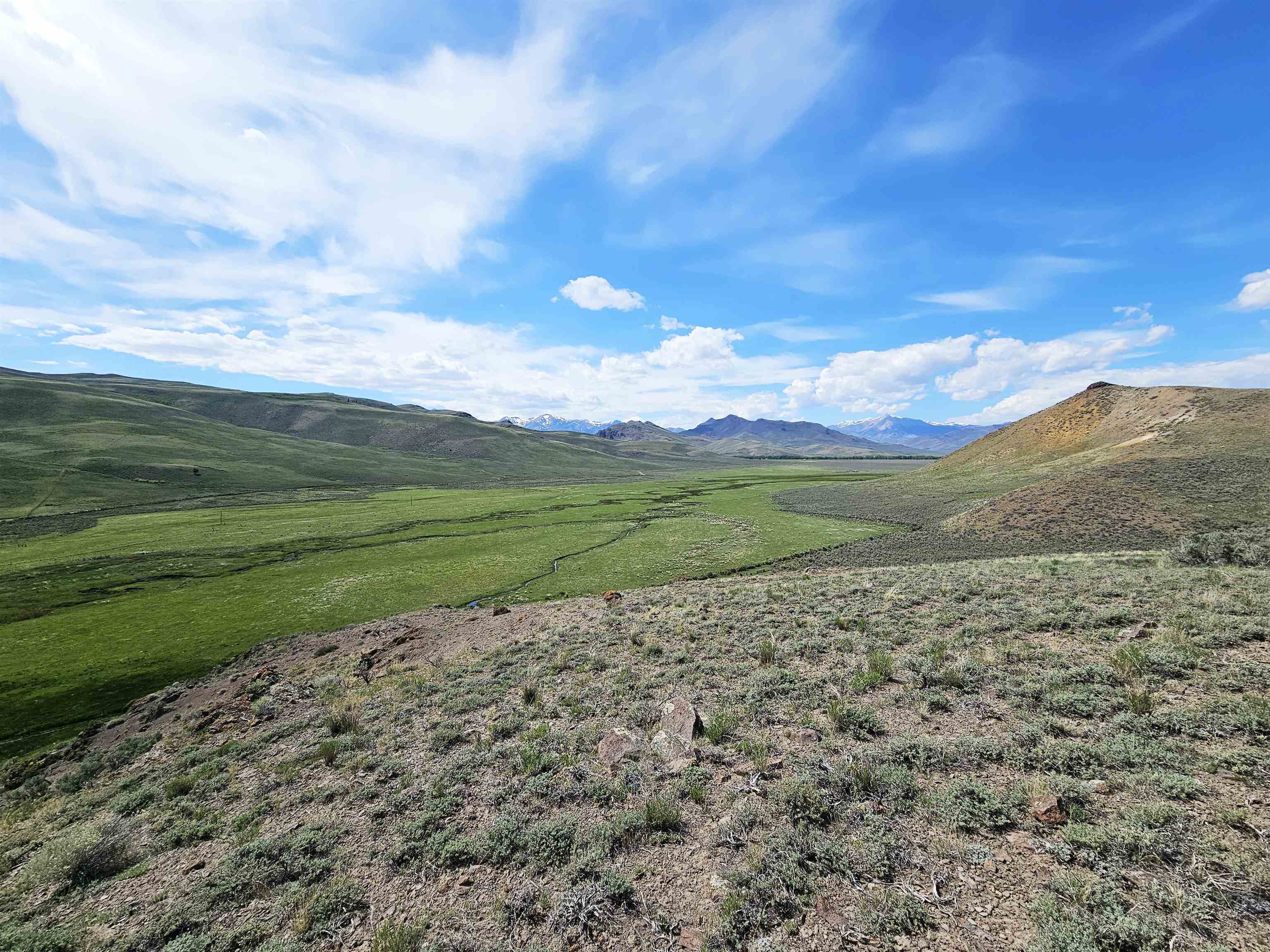 Lot 10 Dry Fork Rd, Moore, Idaho image 22