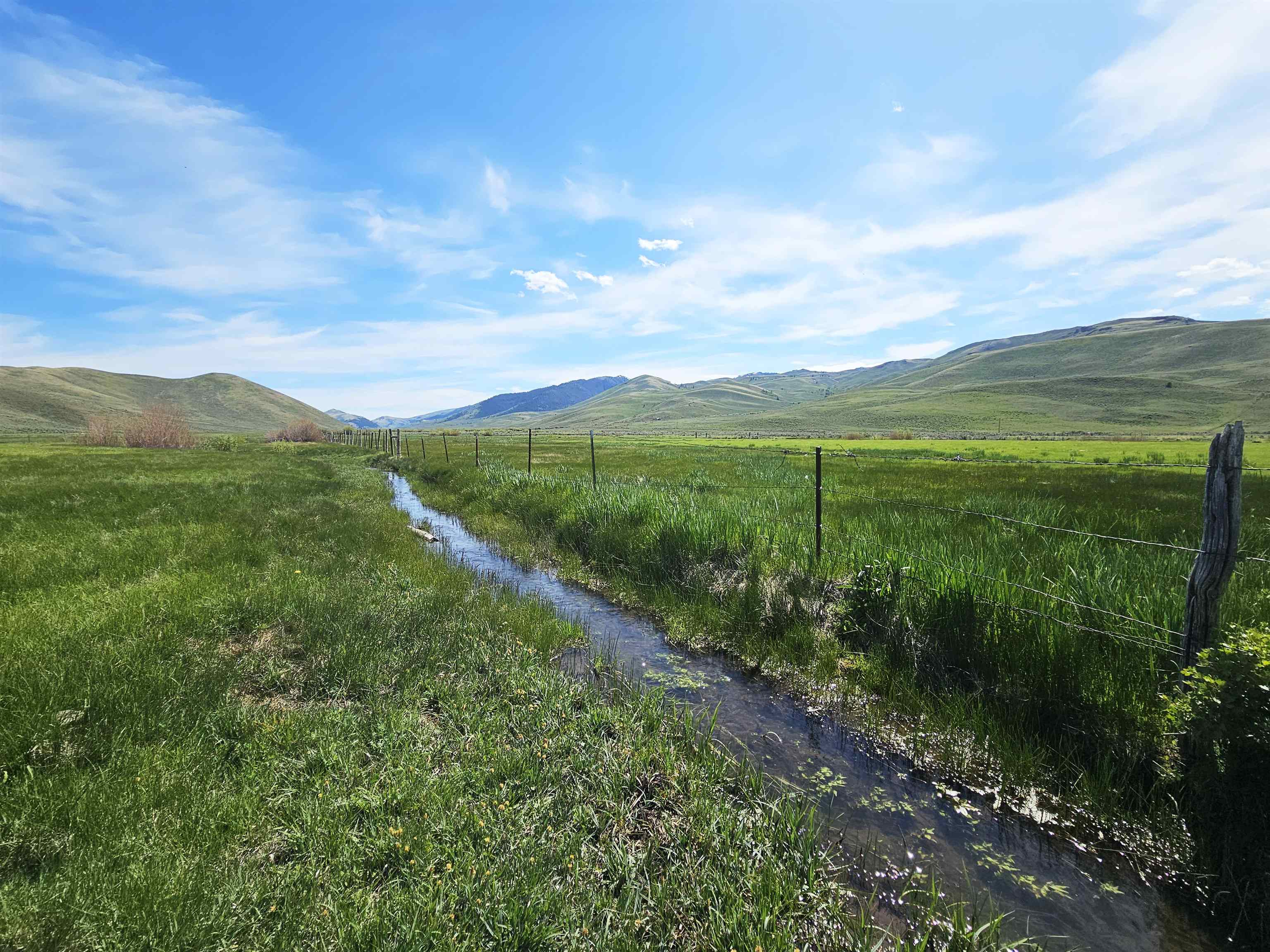 Lot 10 Dry Fork Rd, Moore, Idaho image 5