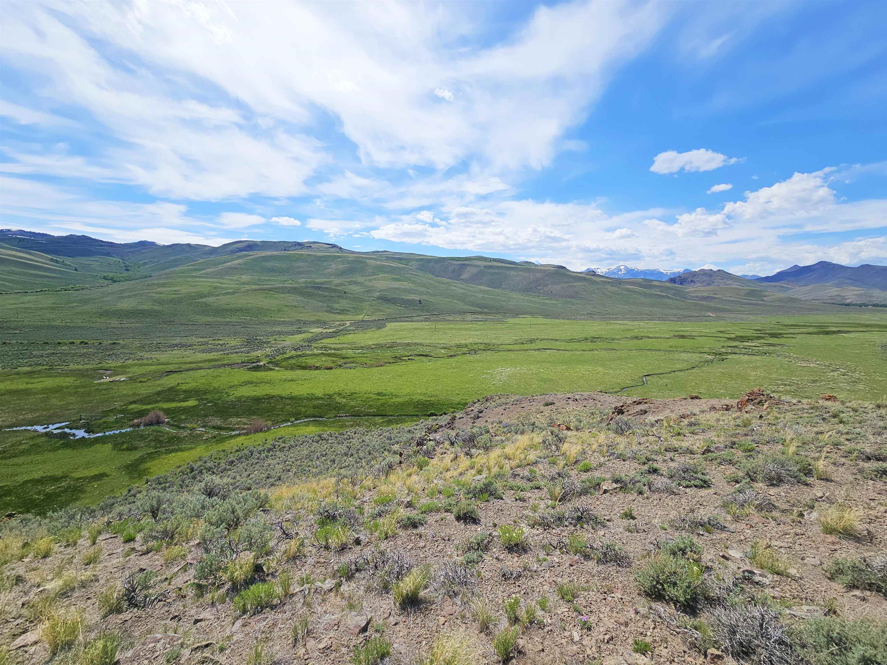 Lot 10 Dry Fork Rd, Moore, Idaho image 24
