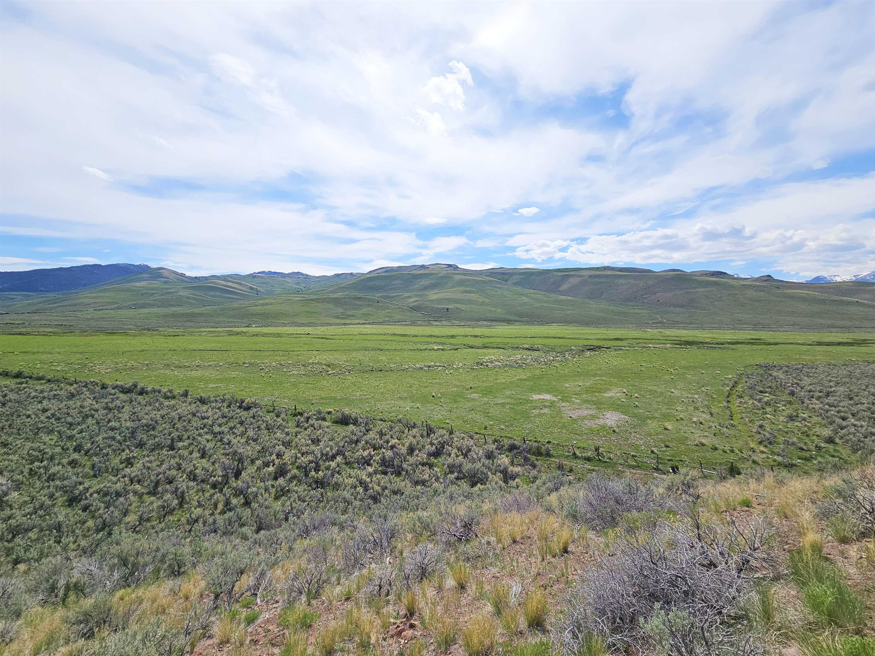 Lot 10 Dry Fork Rd, Moore, Idaho image 15
