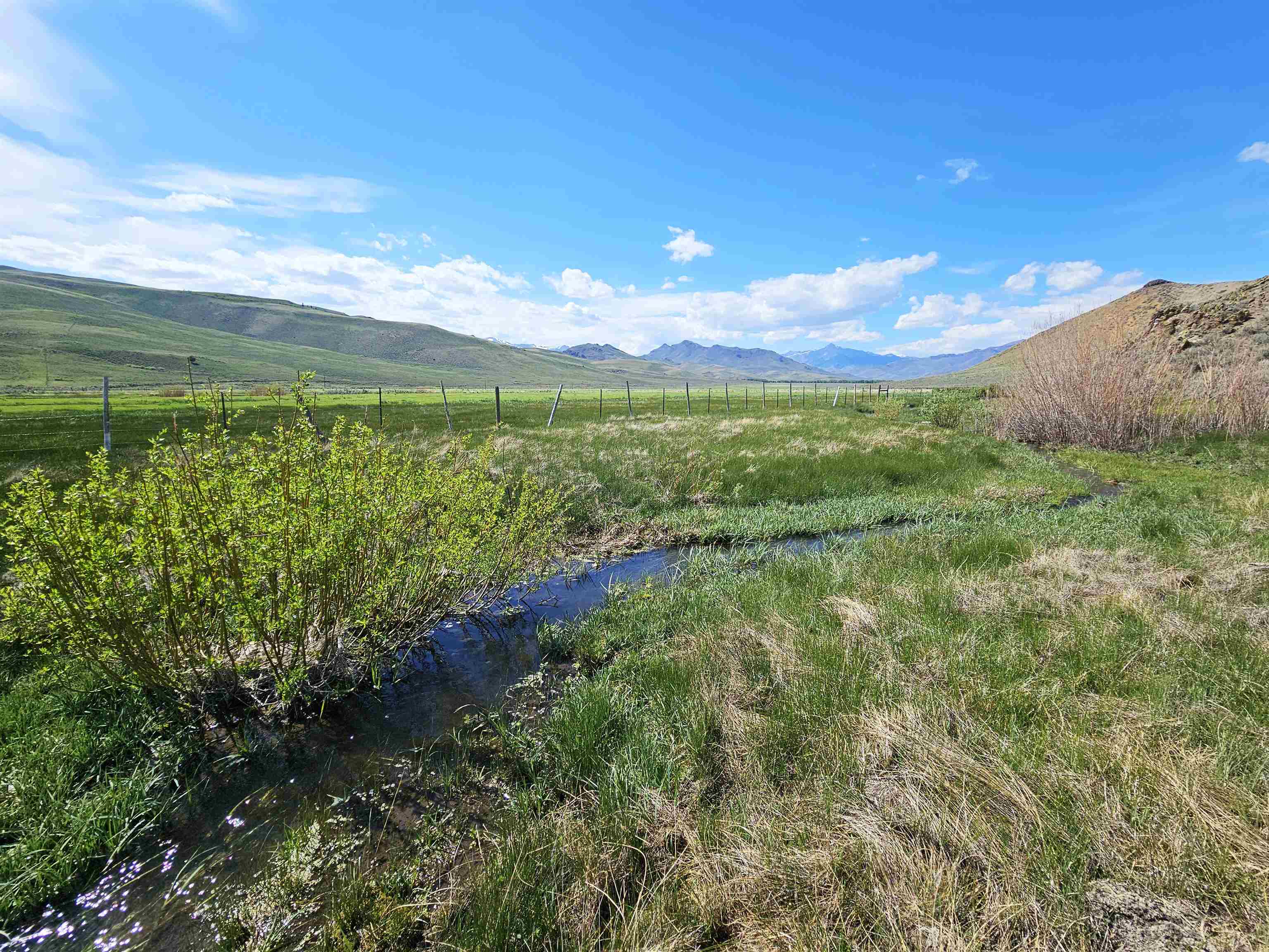 Lot 10 Dry Fork Rd, Moore, Idaho image 3