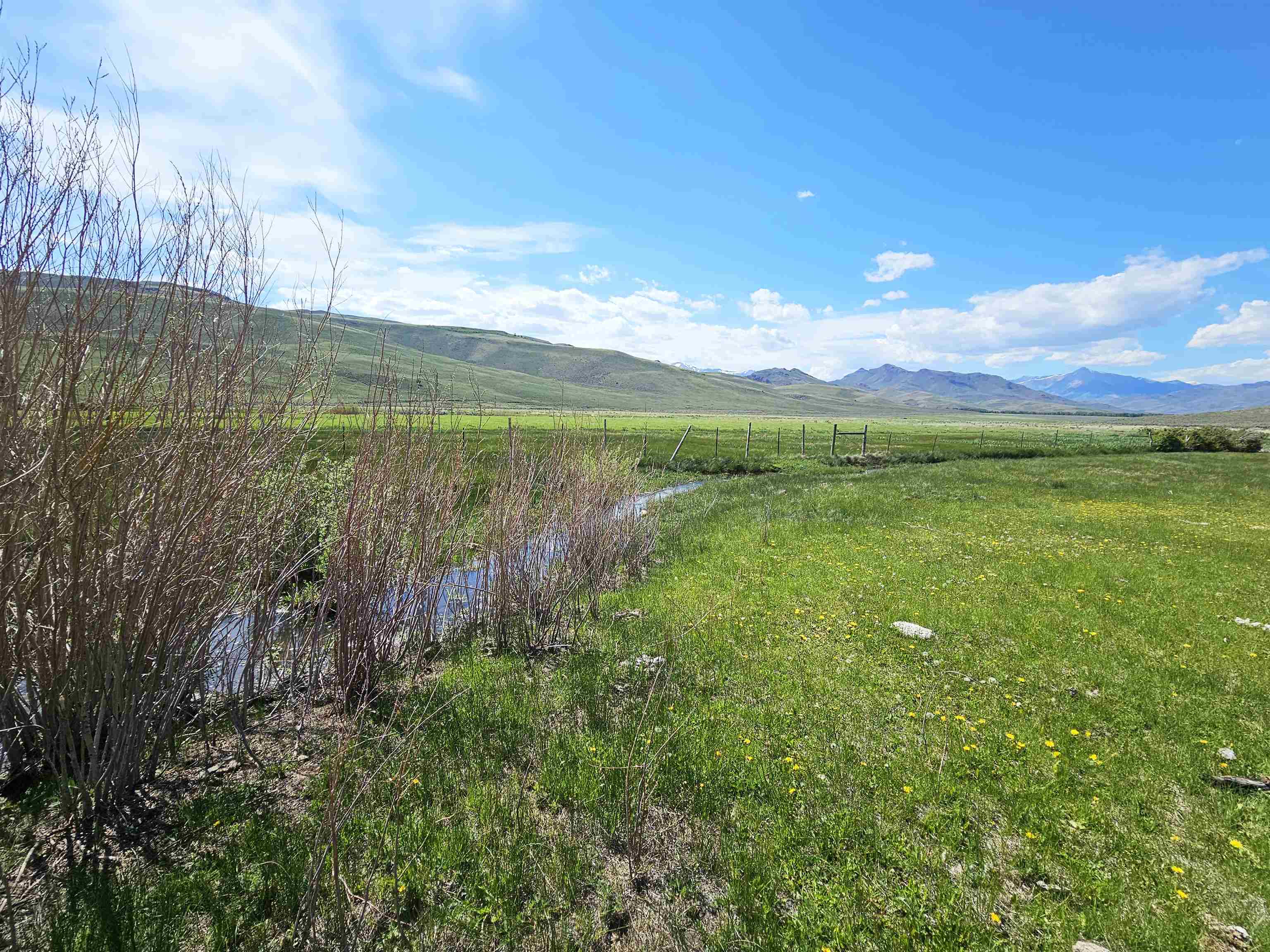 Lot 10 Dry Fork Rd, Moore, Idaho image 4