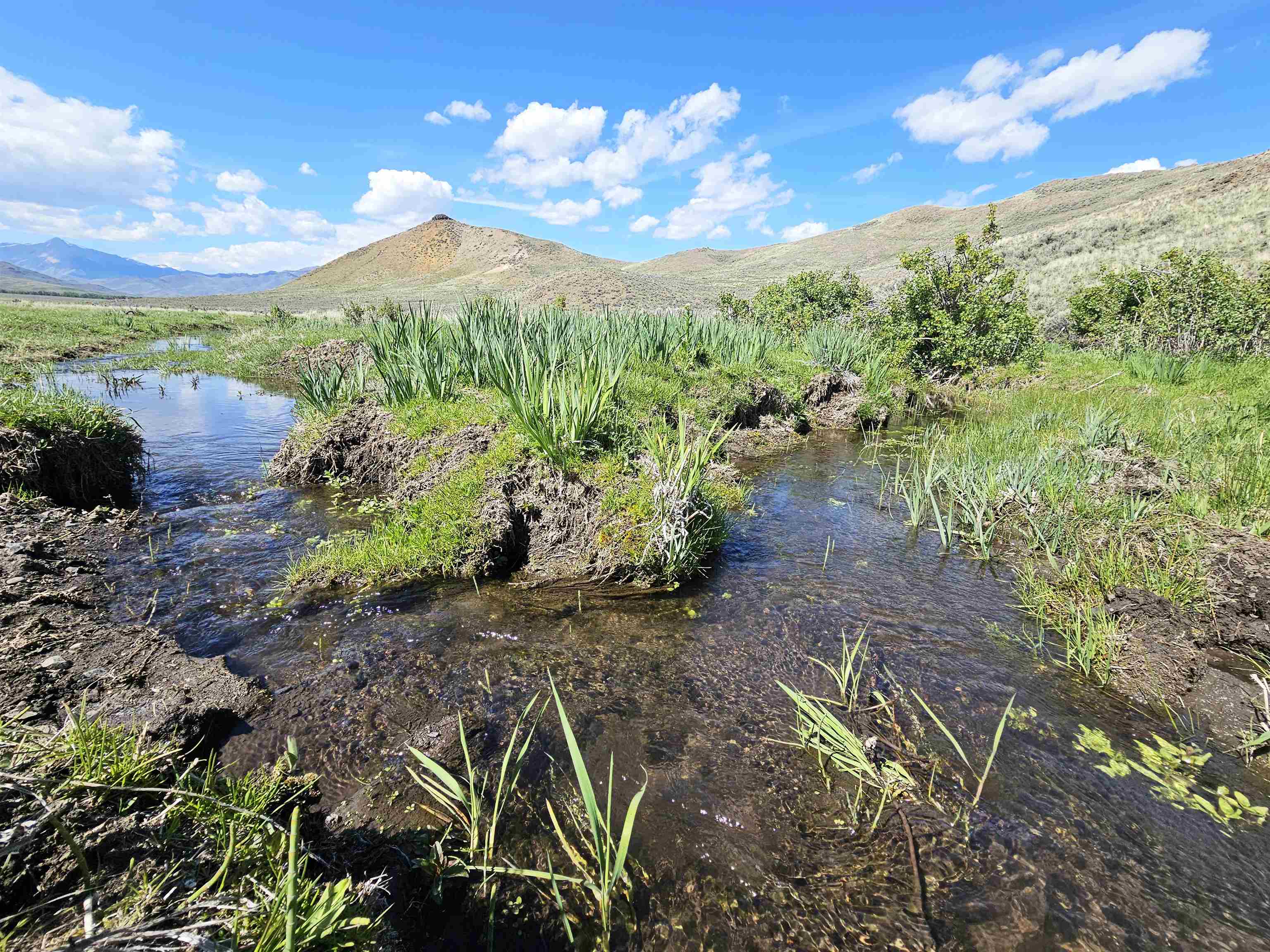 Lot 10 Dry Fork Rd, Moore, Idaho image 8