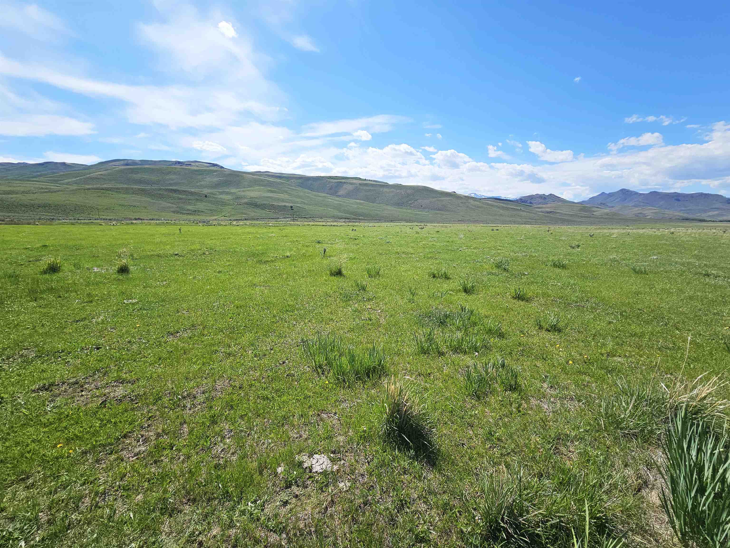 Lot 10 Dry Fork Rd, Moore, Idaho image 13