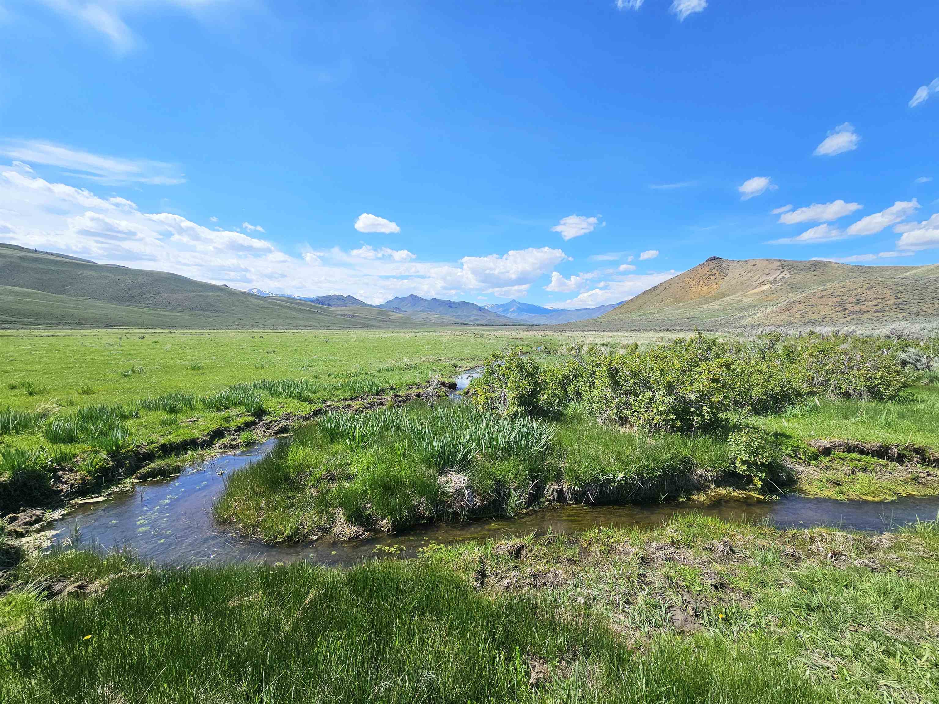 Lot 10 Dry Fork Rd, Moore, Idaho image 7