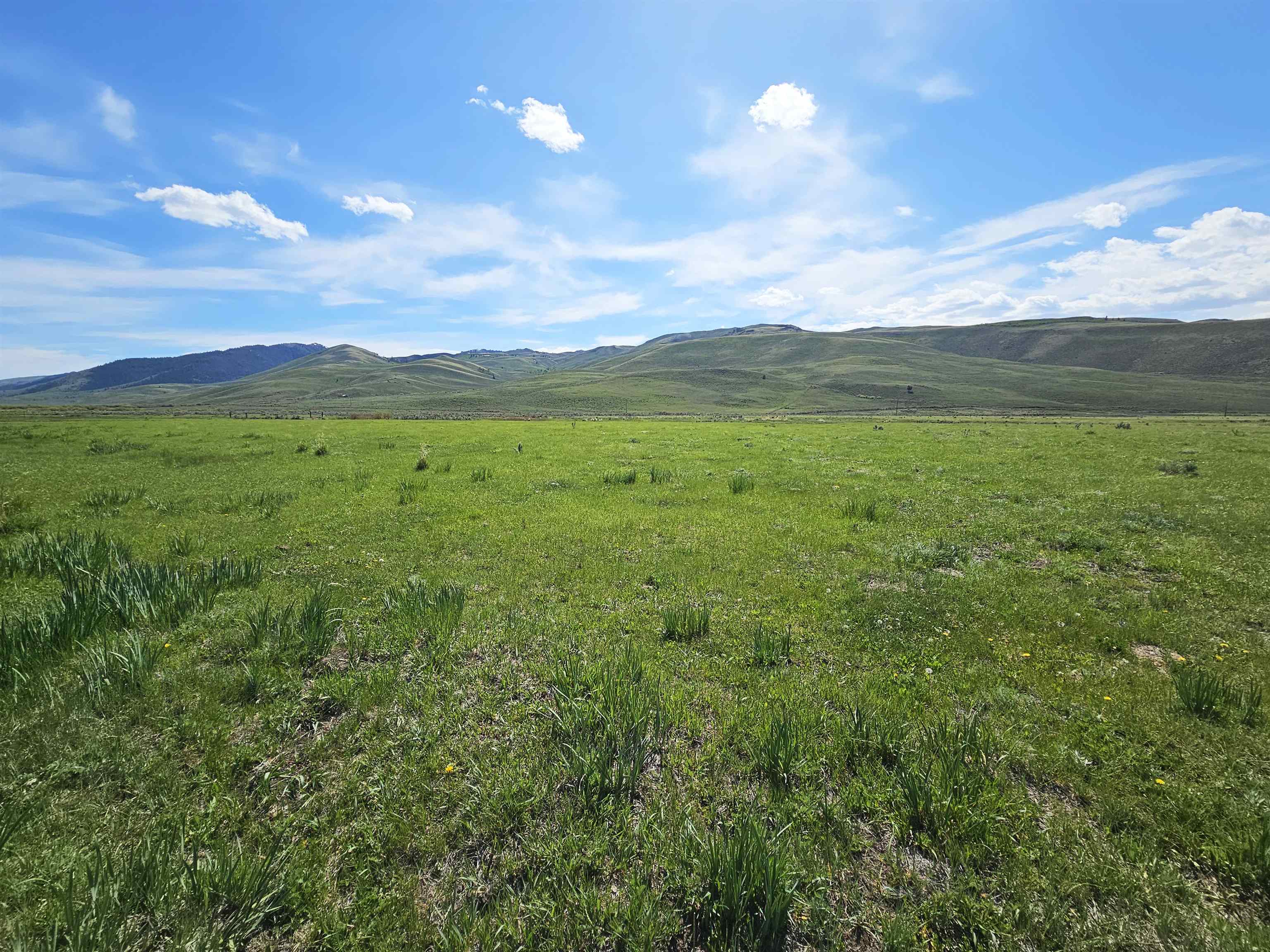 Lot 10 Dry Fork Rd, Moore, Idaho image 14