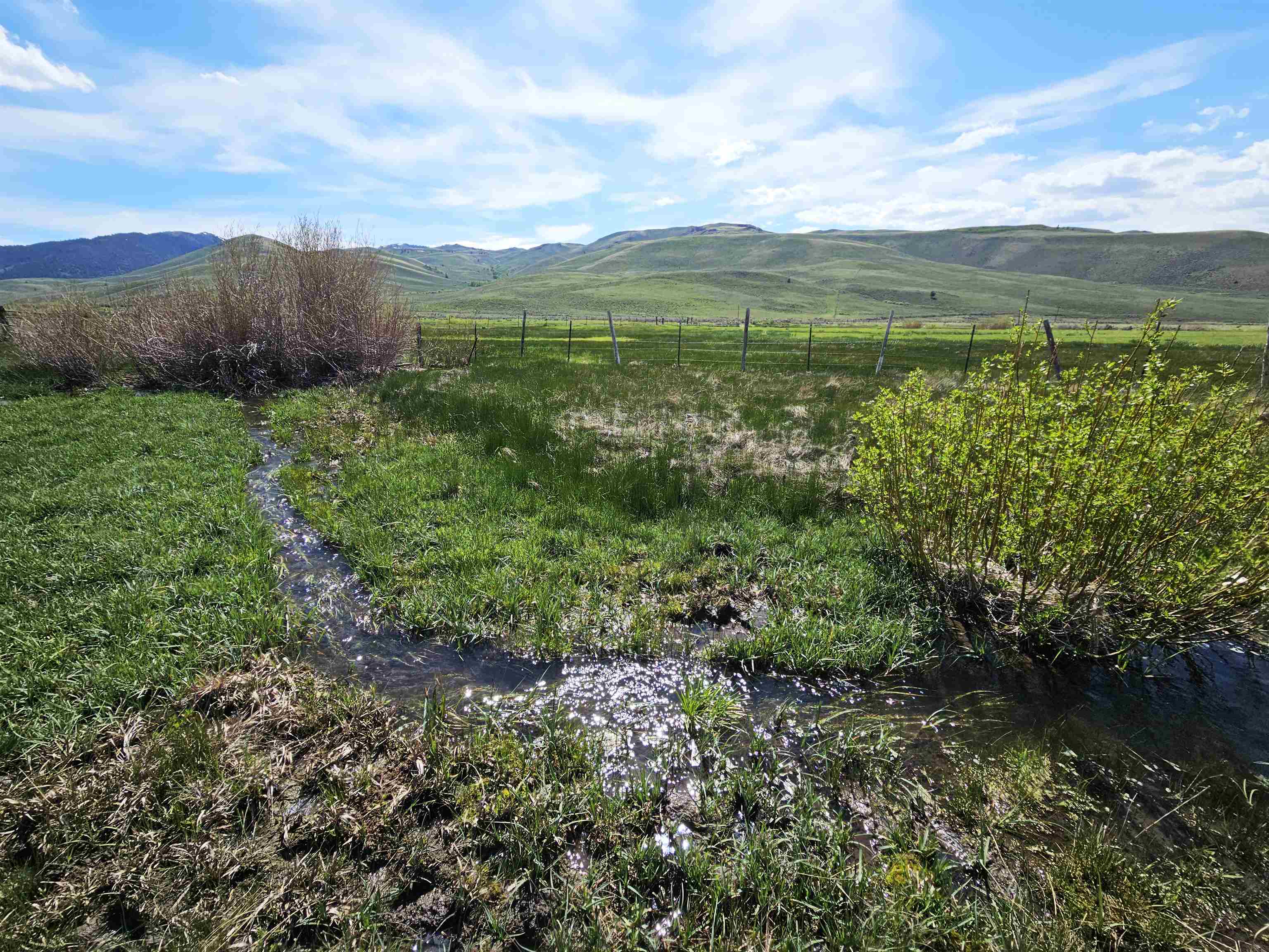 Lot 10 Dry Fork Rd, Moore, Idaho image 2