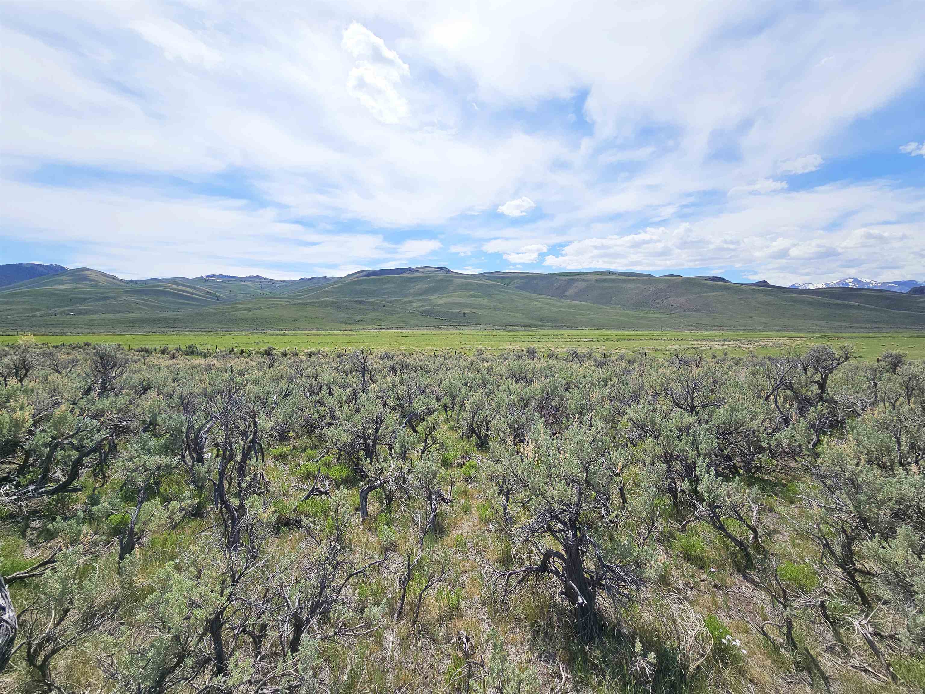 Lot 10 Dry Fork Rd, Moore, Idaho image 18