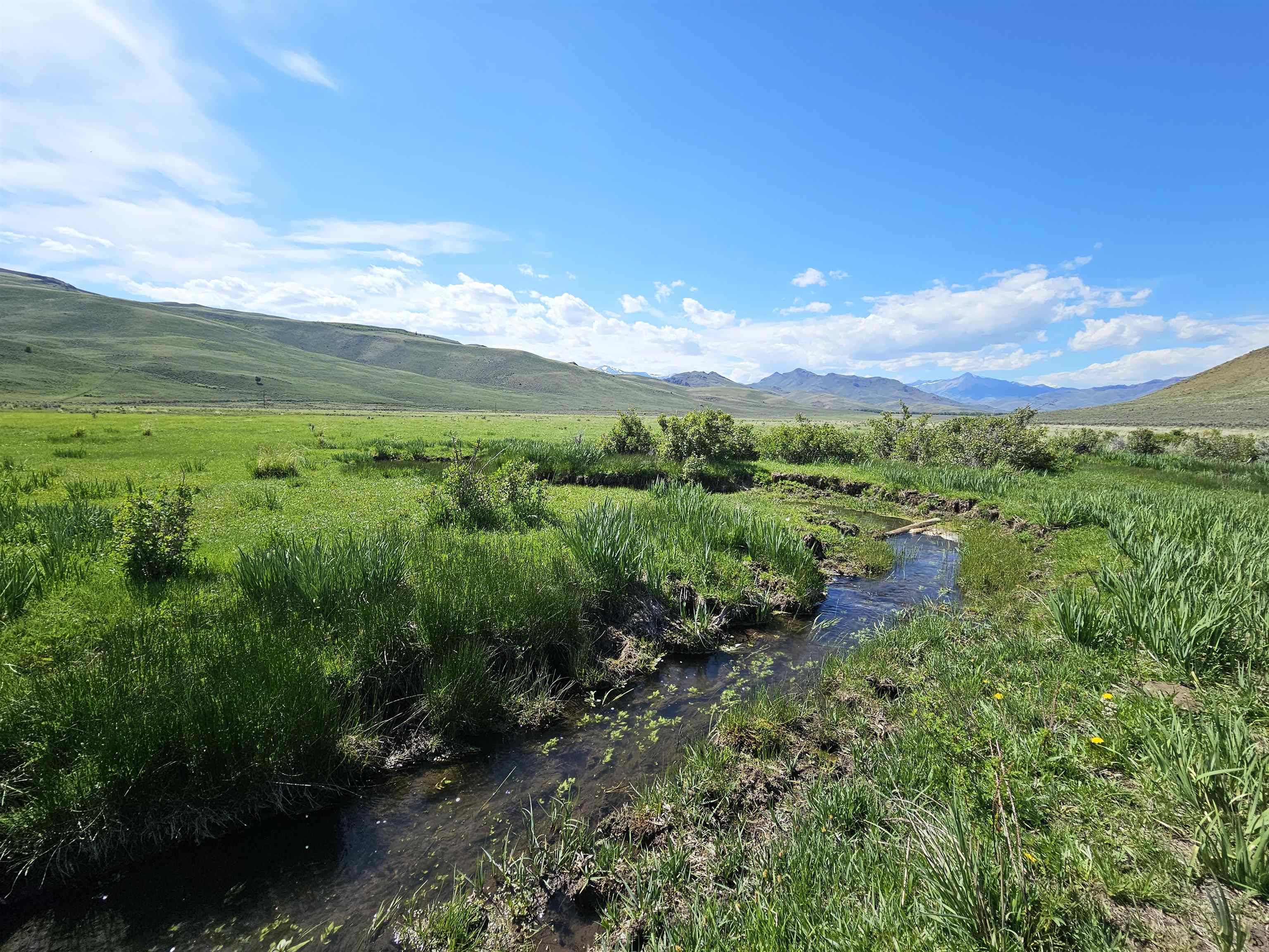 Lot 10 Dry Fork Rd, Moore, Idaho image 6