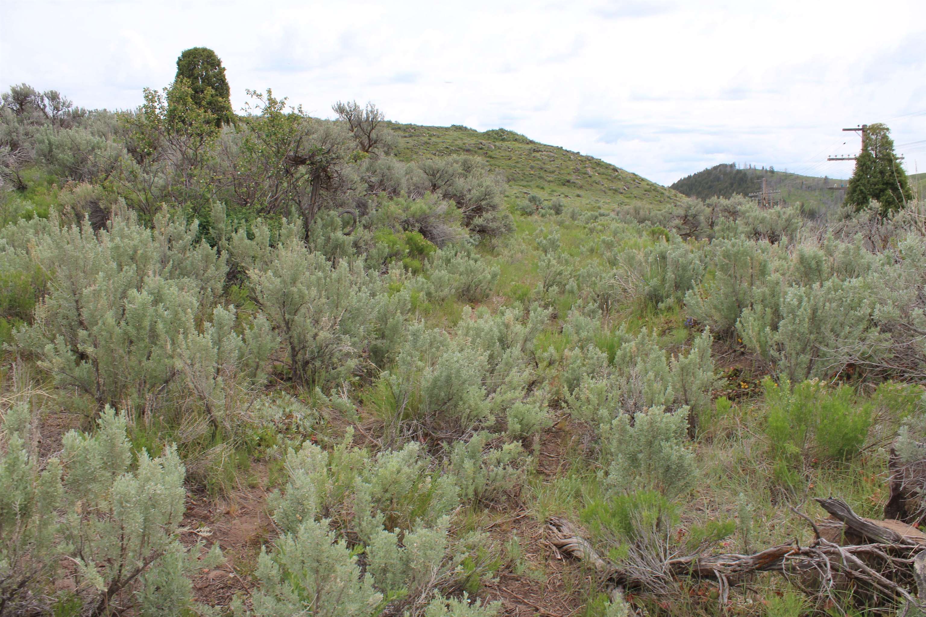 Lot 63 Caribou Village #2, Soda Springs, Idaho image 14