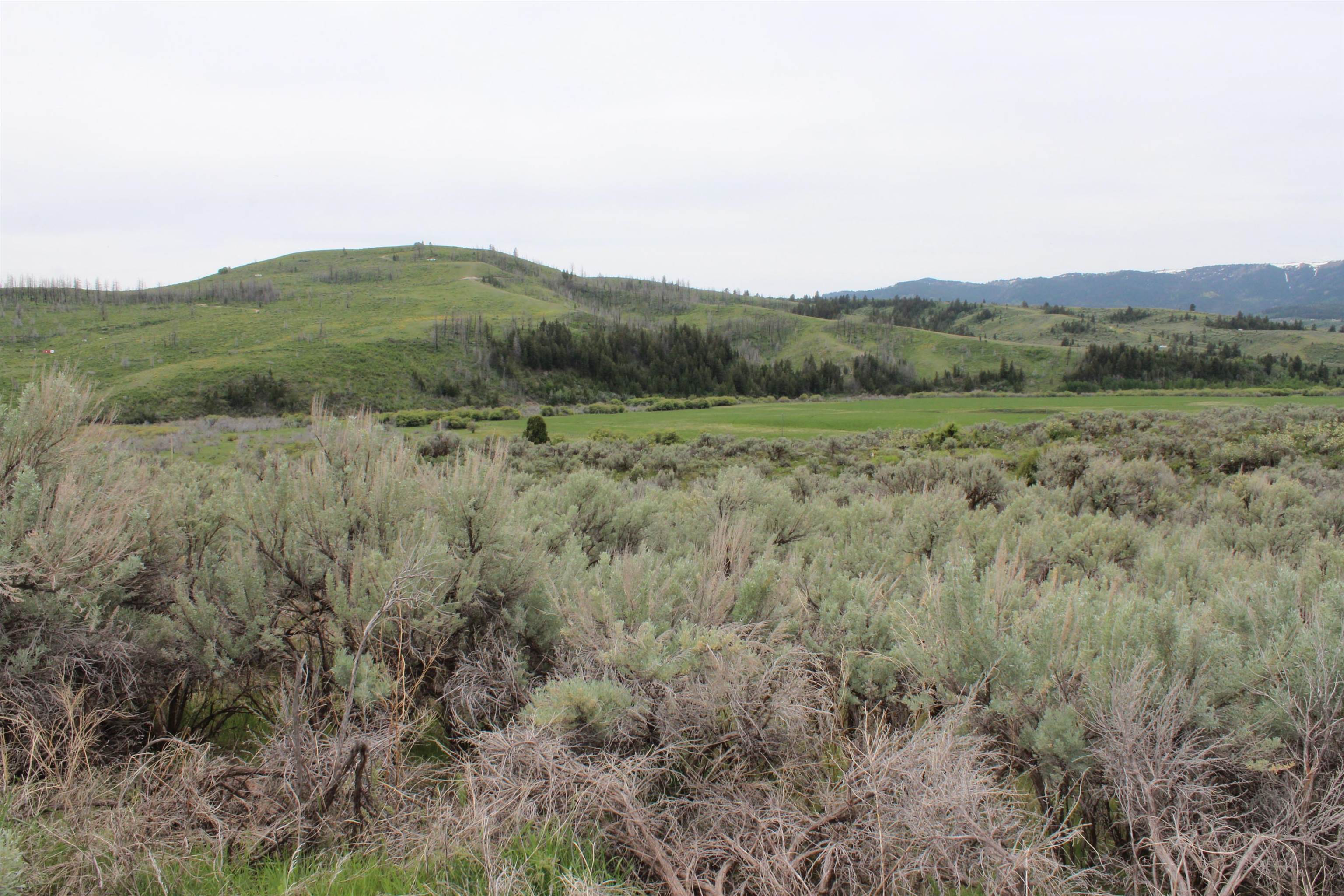 Lot 63 Caribou Village #2, Soda Springs, Idaho image 30