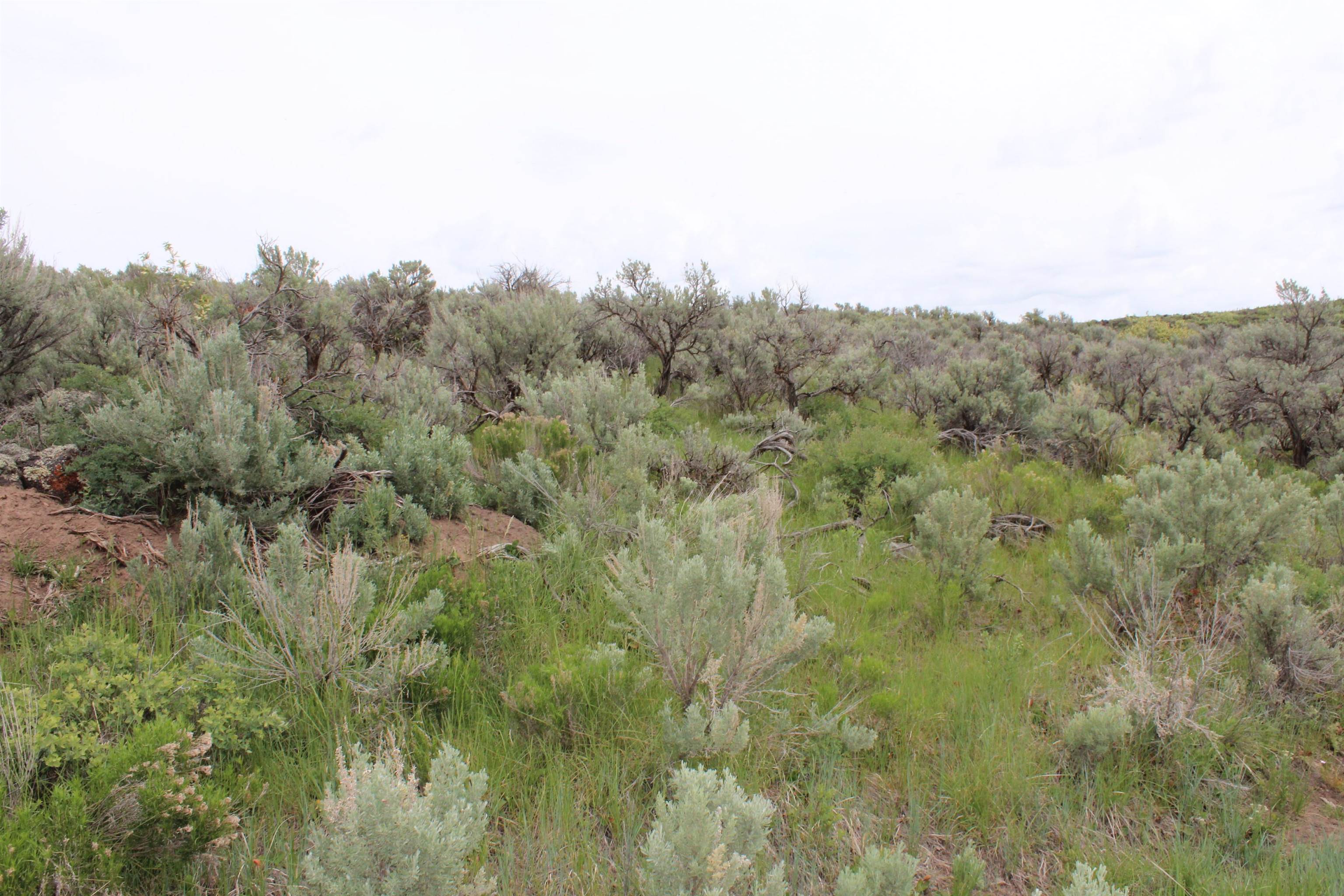 Lot 63 Caribou Village #2, Soda Springs, Idaho image 16