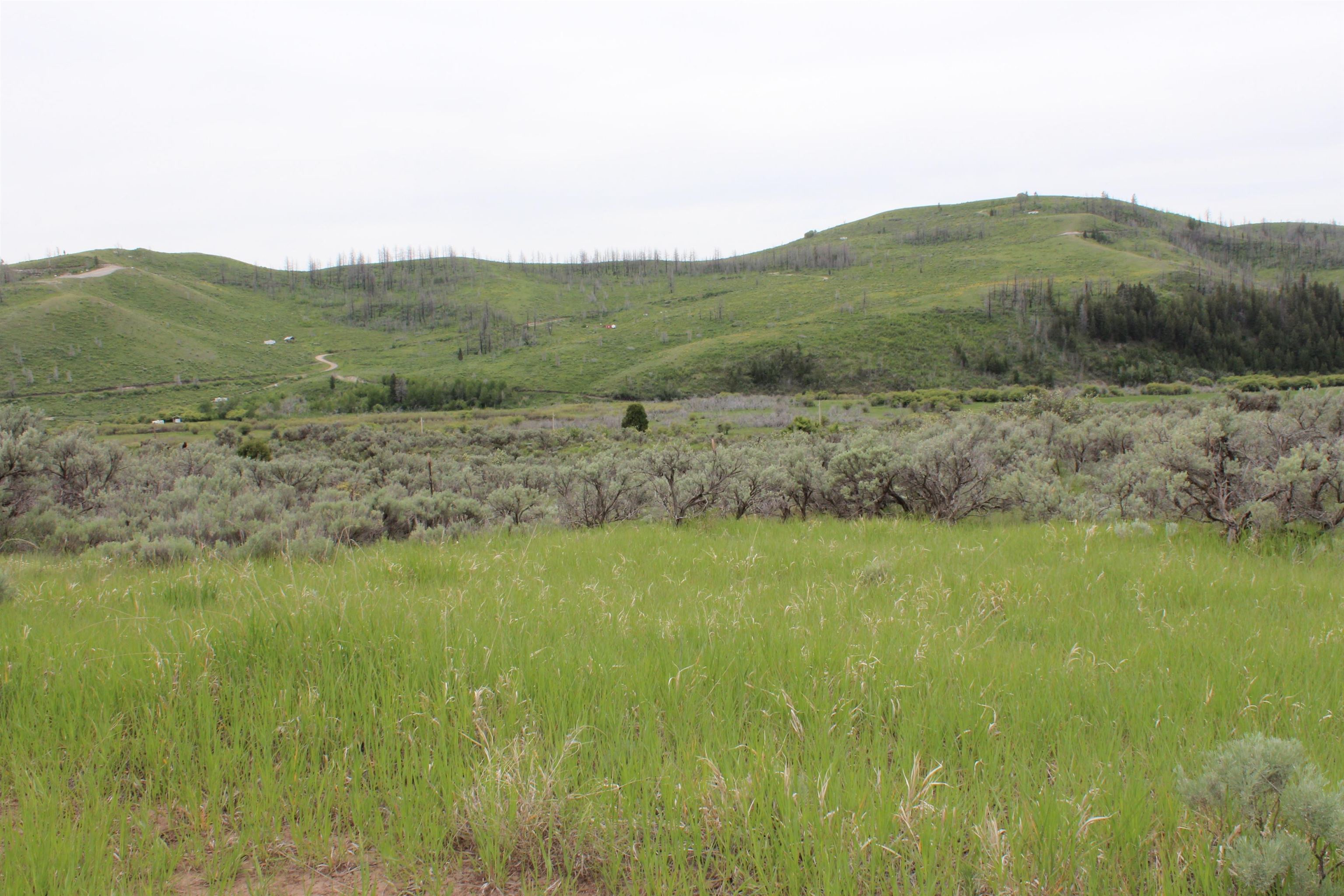 Lot 63 Caribou Village #2, Soda Springs, Idaho image 1