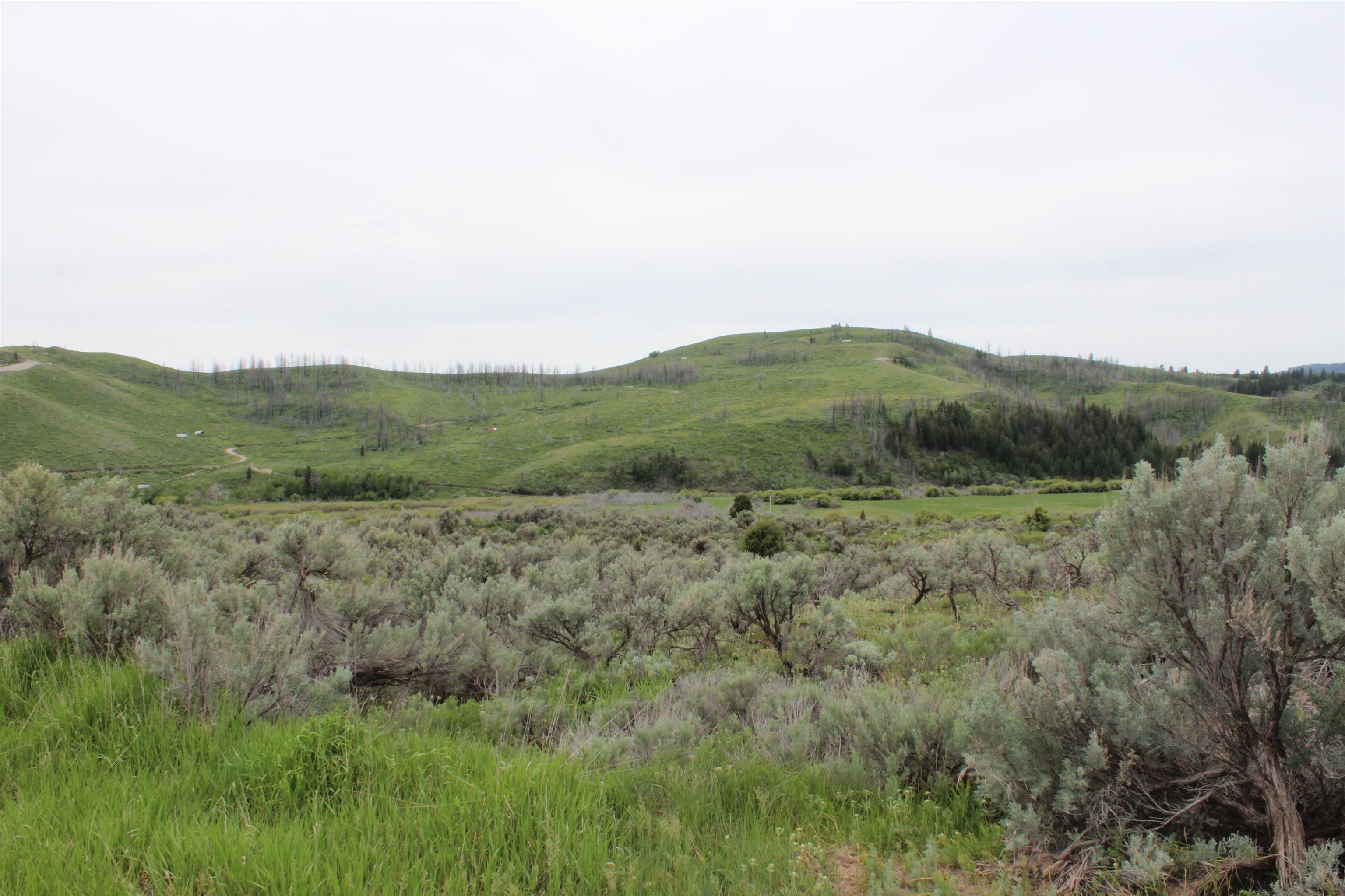 Lot 63 Caribou Village #2, Soda Springs, Idaho image 29