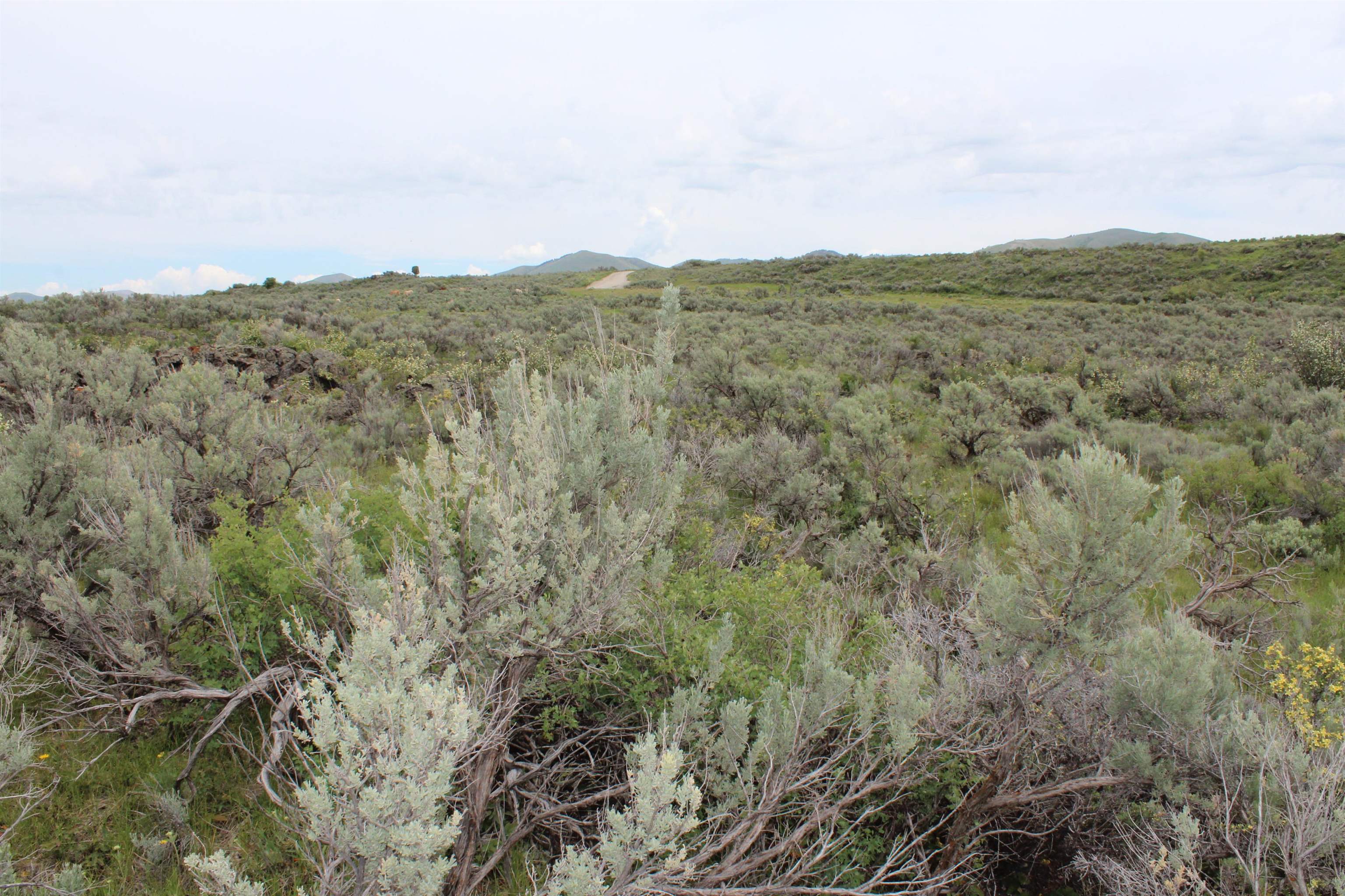 Lot 63 Caribou Village #2, Soda Springs, Idaho image 22