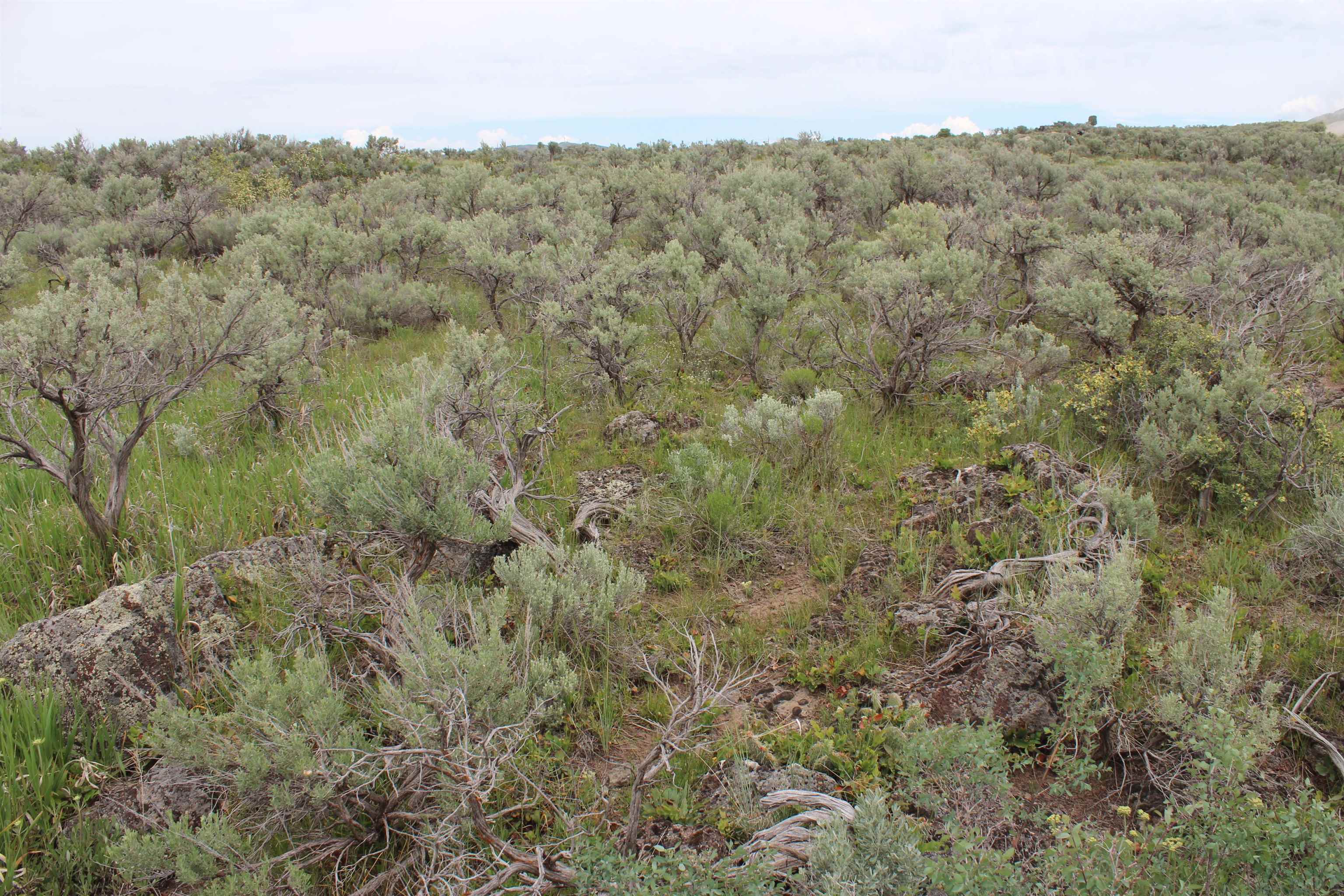 Lot 63 Caribou Village #2, Soda Springs, Idaho image 24