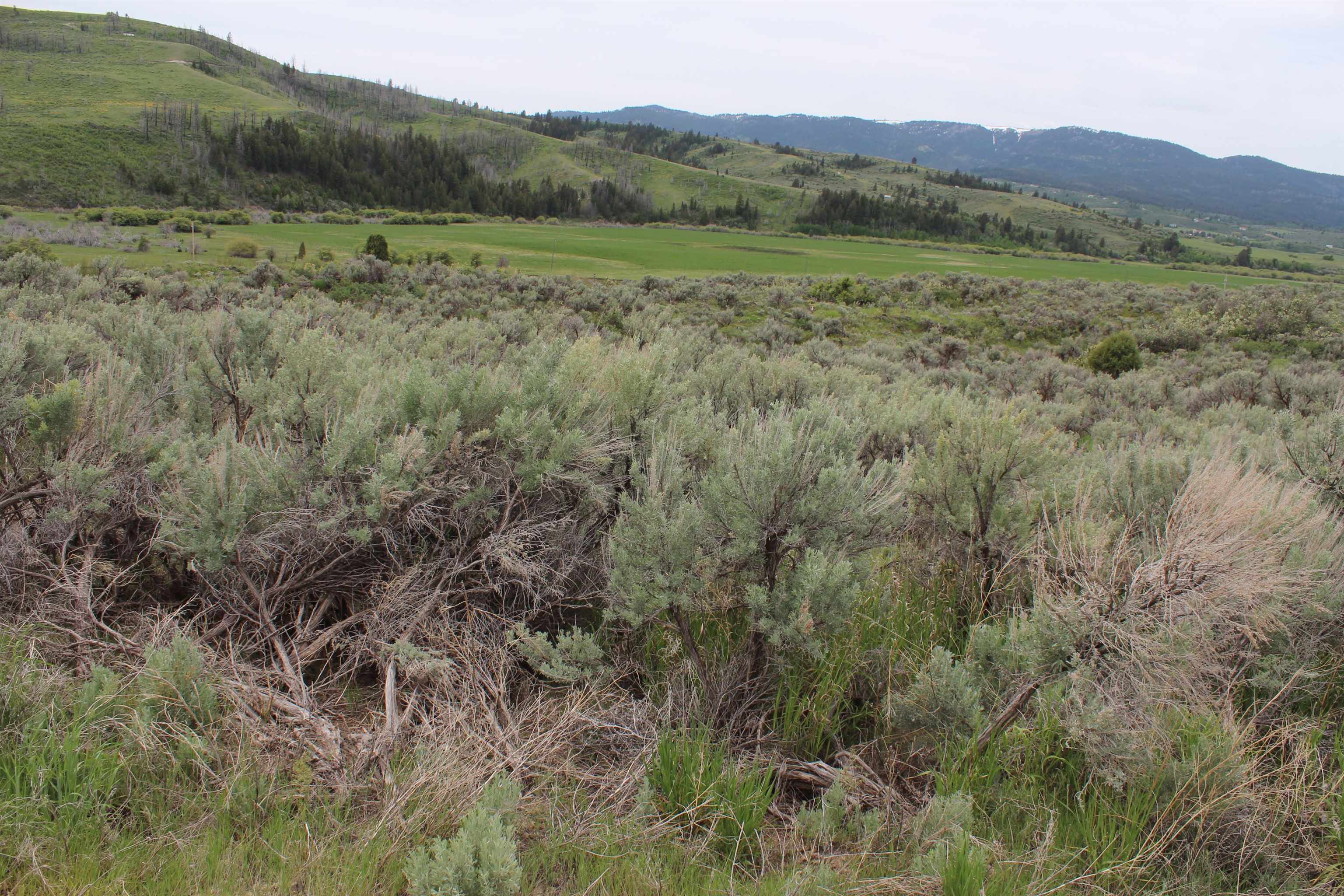Lot 63 Caribou Village #2, Soda Springs, Idaho image 31