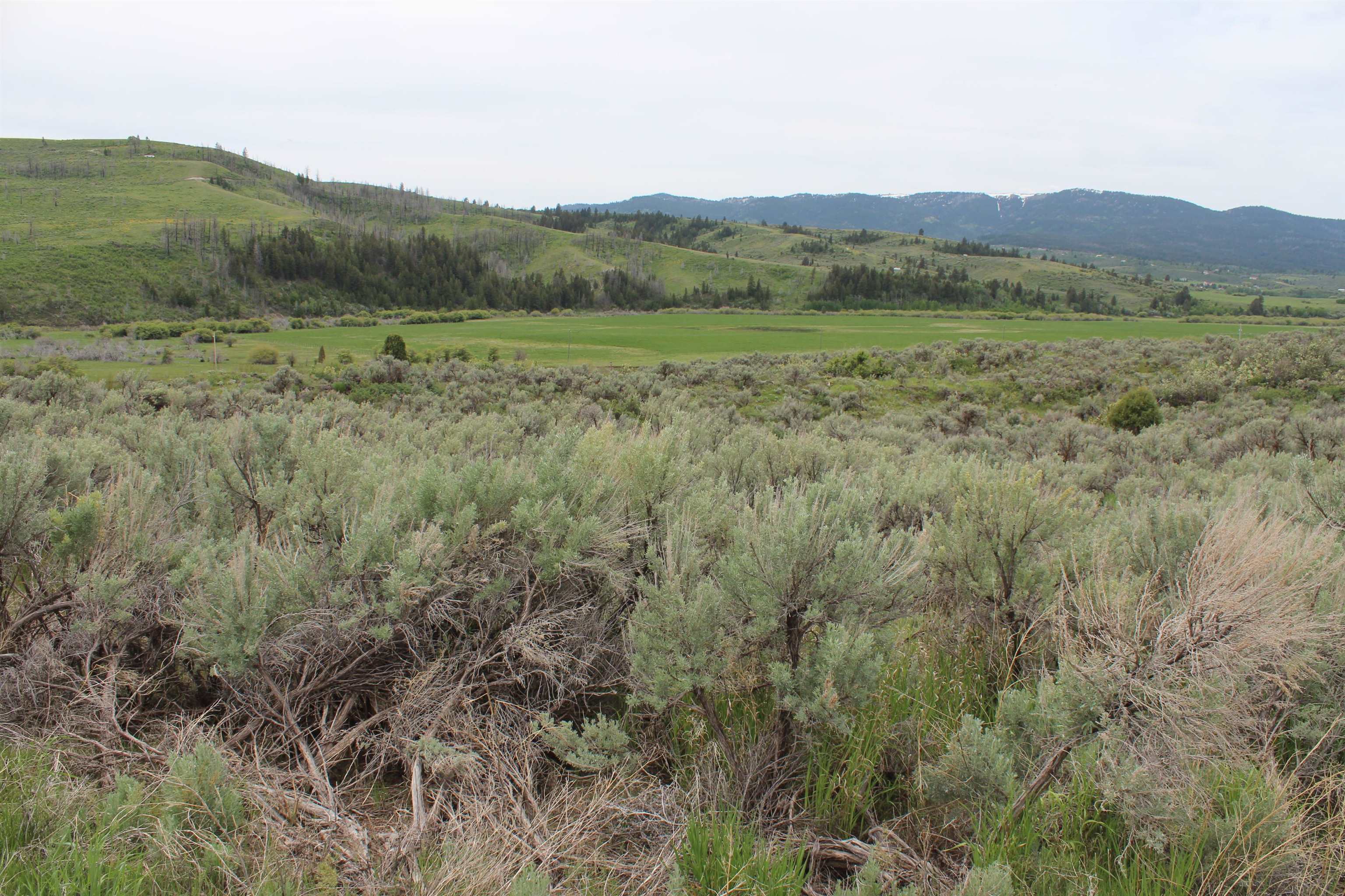 Lot 63 Caribou Village #2, Soda Springs, Idaho image 4