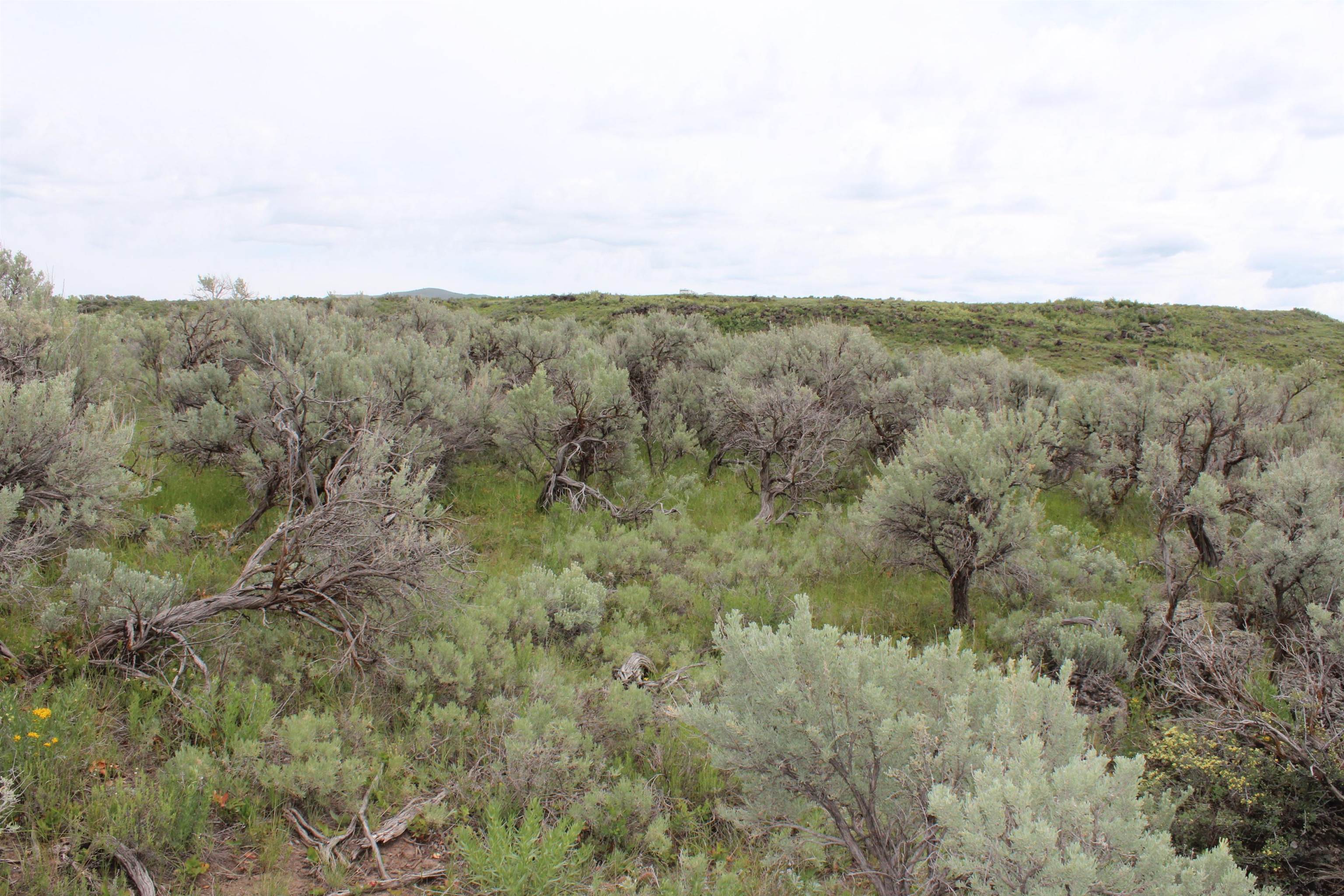 Lot 63 Caribou Village #2, Soda Springs, Idaho image 19