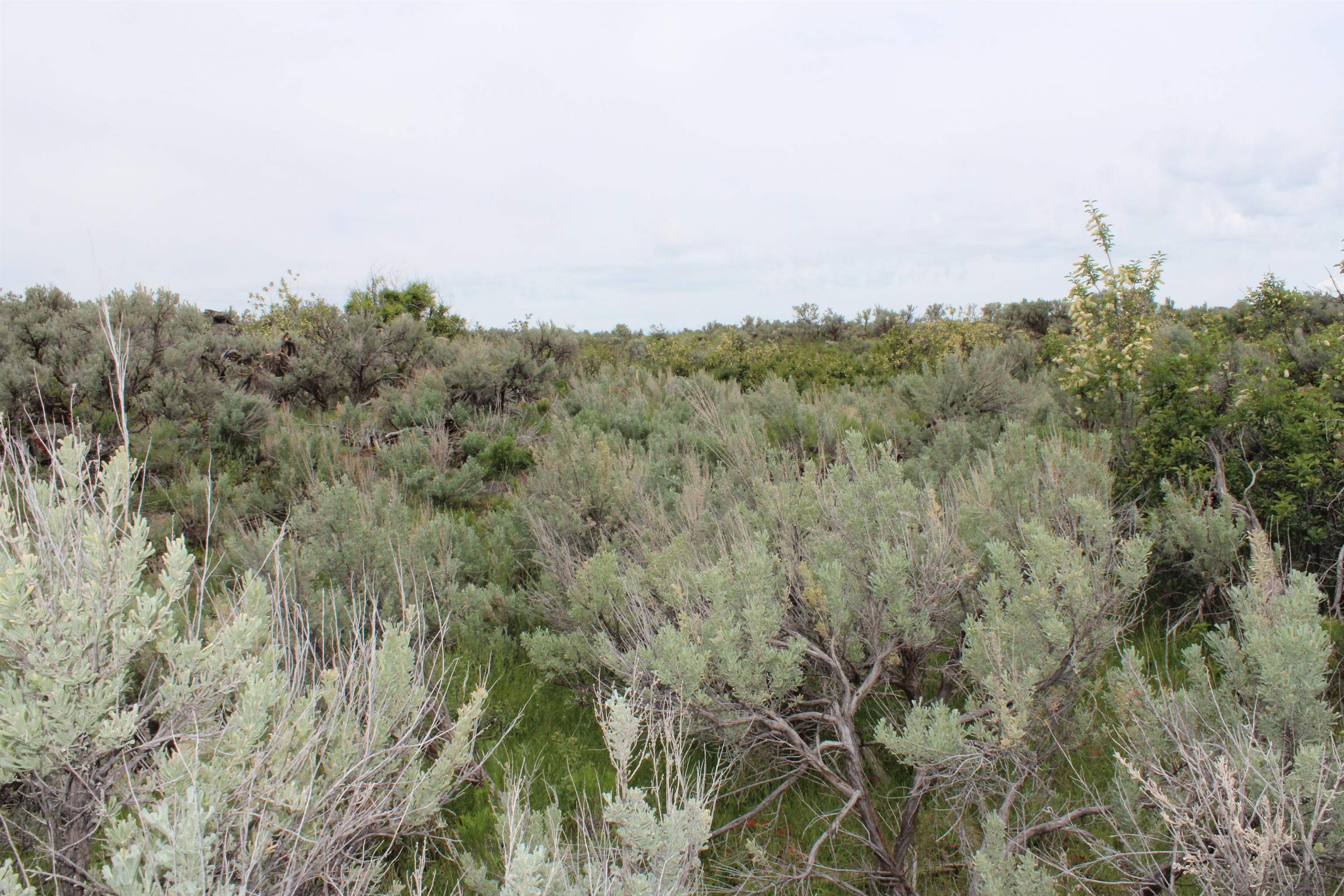 Lot 63 Caribou Village #2, Soda Springs, Idaho image 10