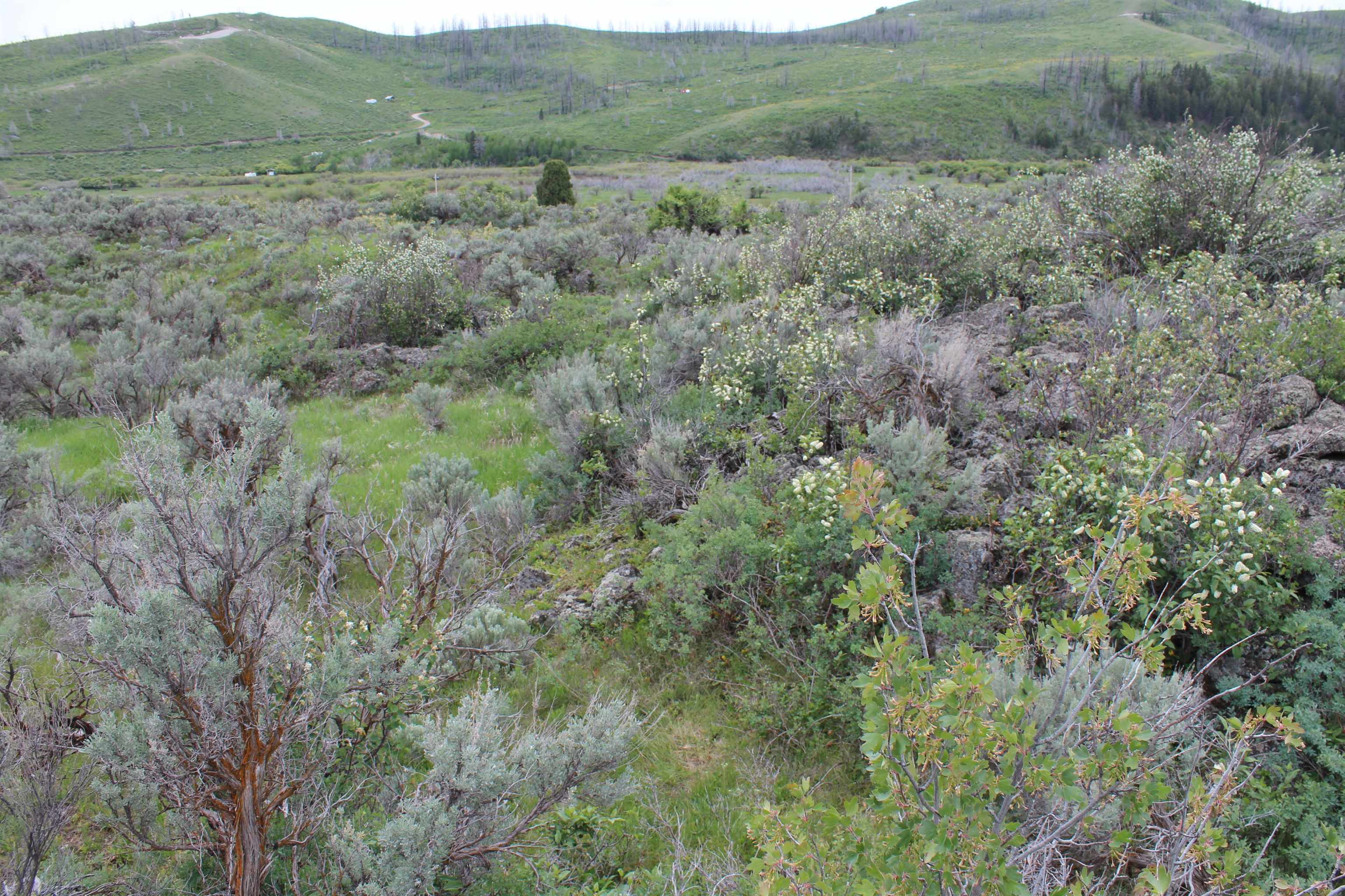Lot 63 Caribou Village #2, Soda Springs, Idaho image 26