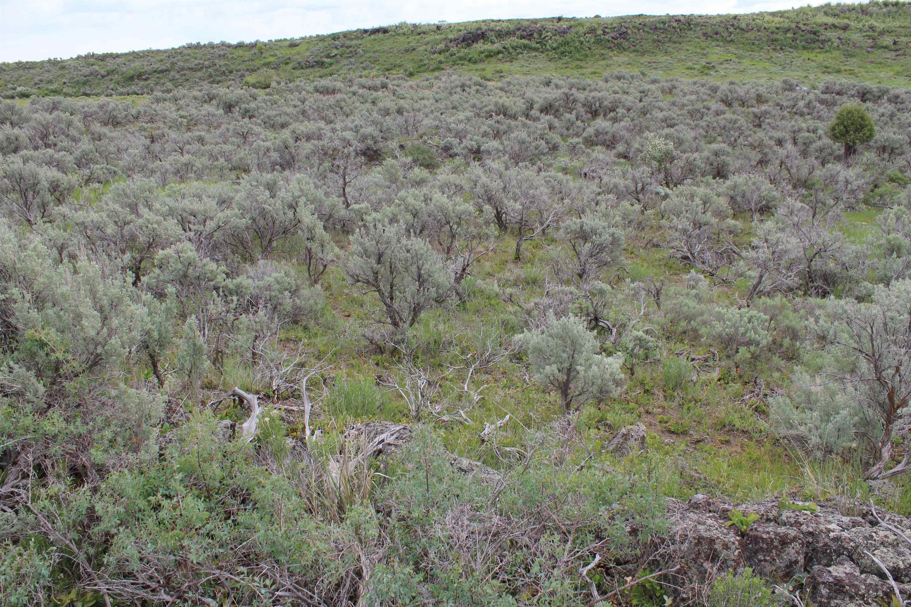 Lot 63 Caribou Village #2, Soda Springs, Idaho image 25