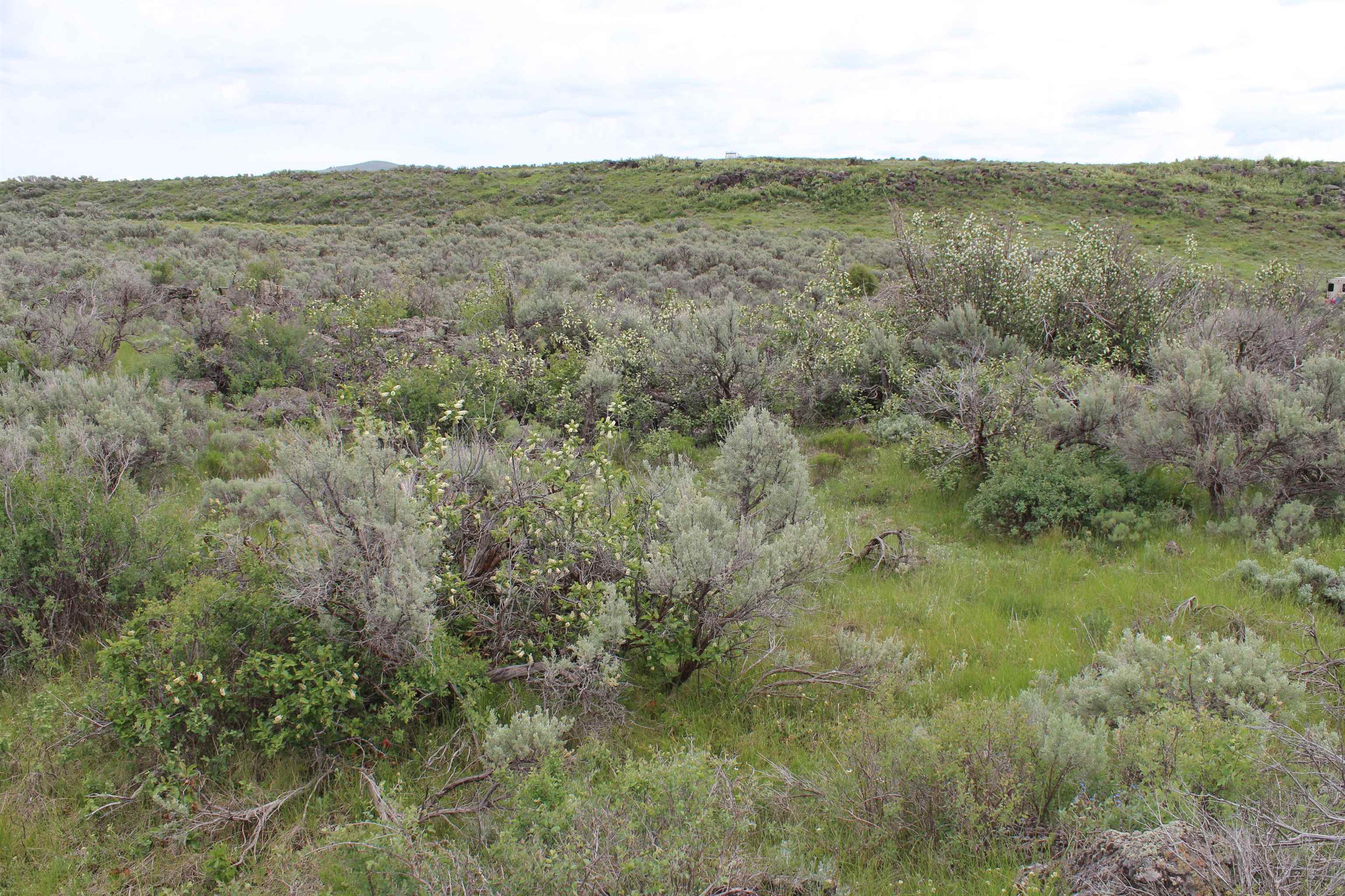 Lot 63 Caribou Village #2, Soda Springs, Idaho image 23