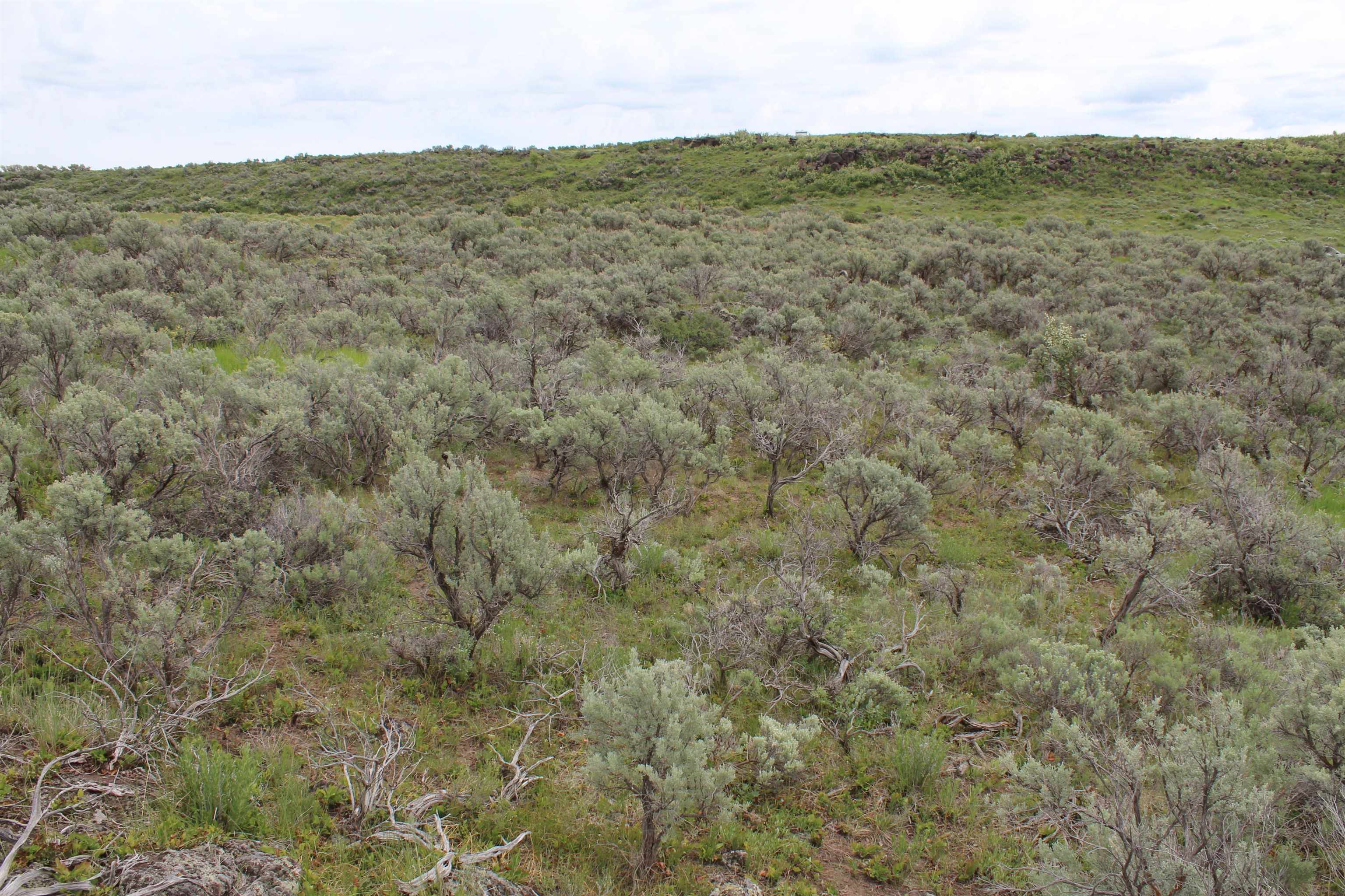 Lot 63 Caribou Village #2, Soda Springs, Idaho image 27