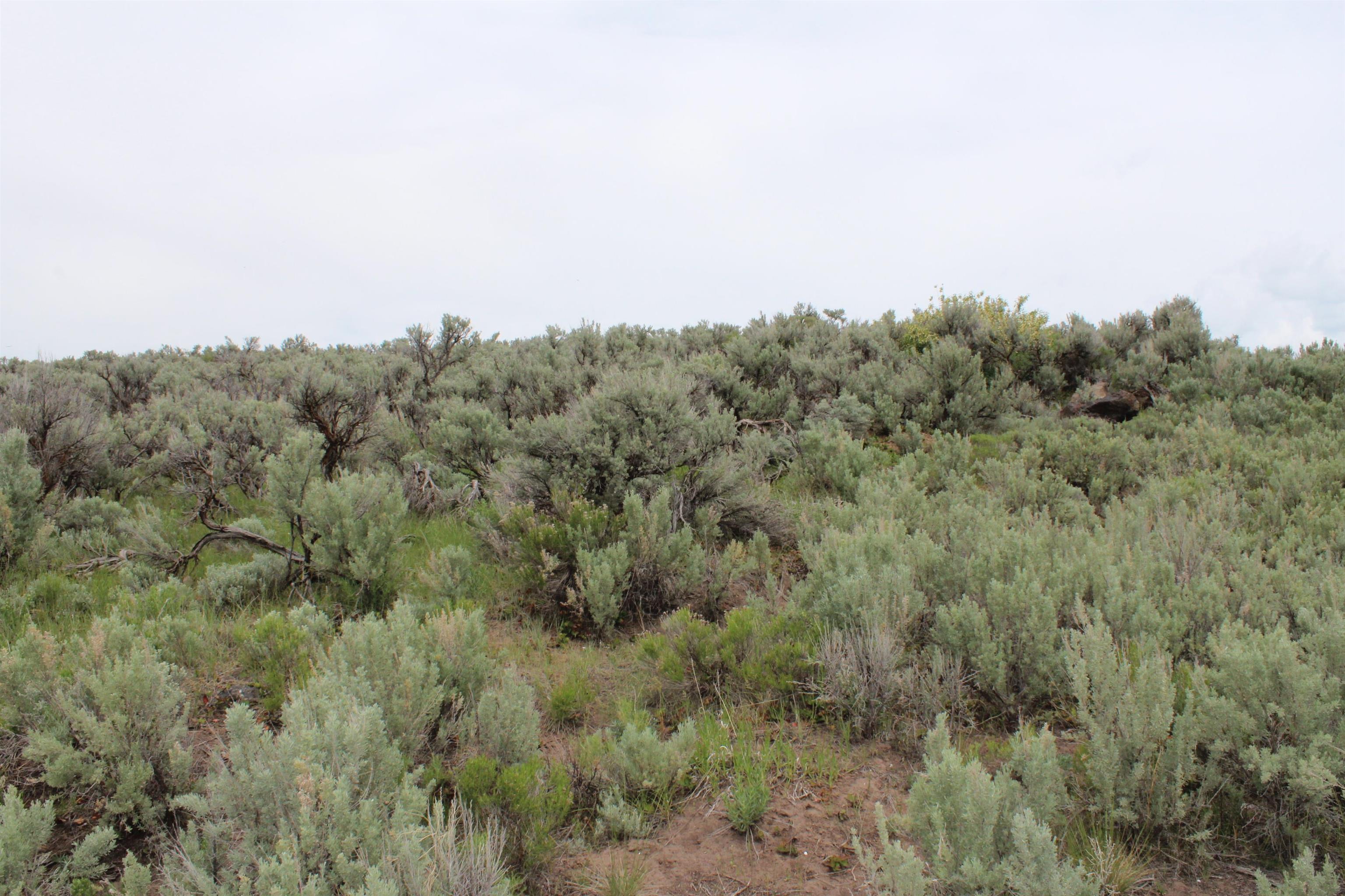Lot 63 Caribou Village #2, Soda Springs, Idaho image 13