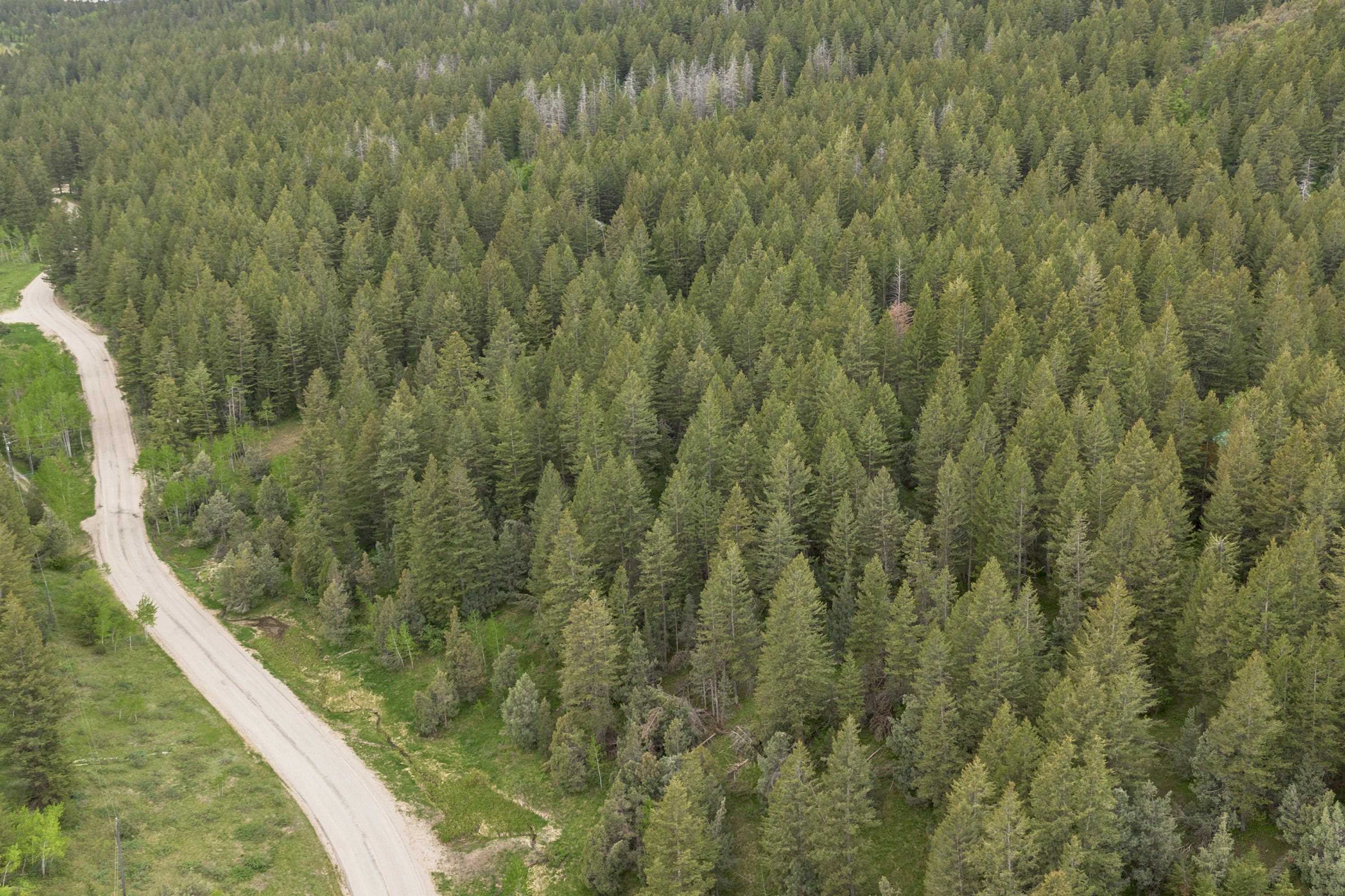 00 Smith Canyon Road, Lava Hot Springs, Idaho image 10