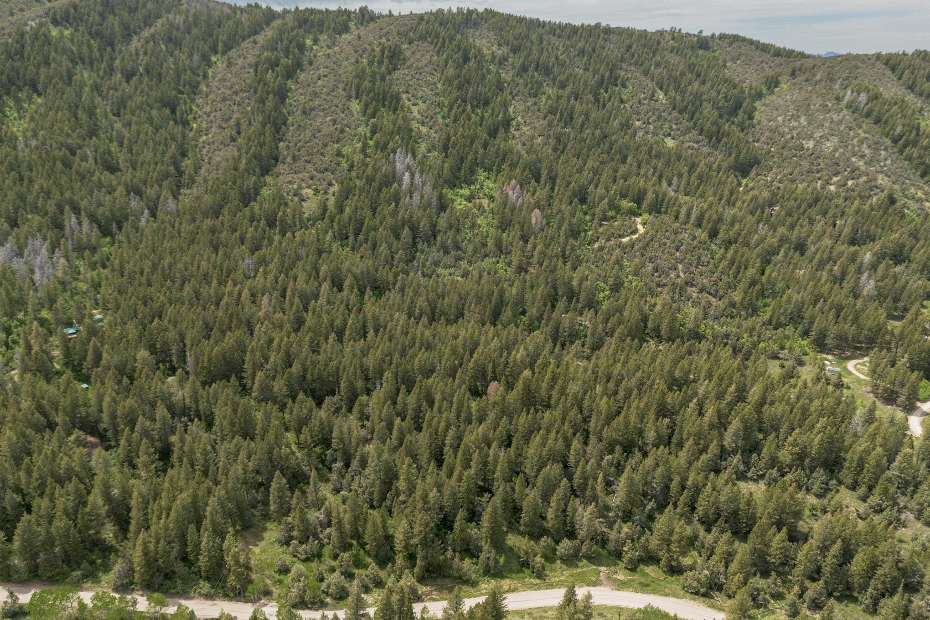 00 Smith Canyon Road, Lava Hot Springs, Idaho image 5