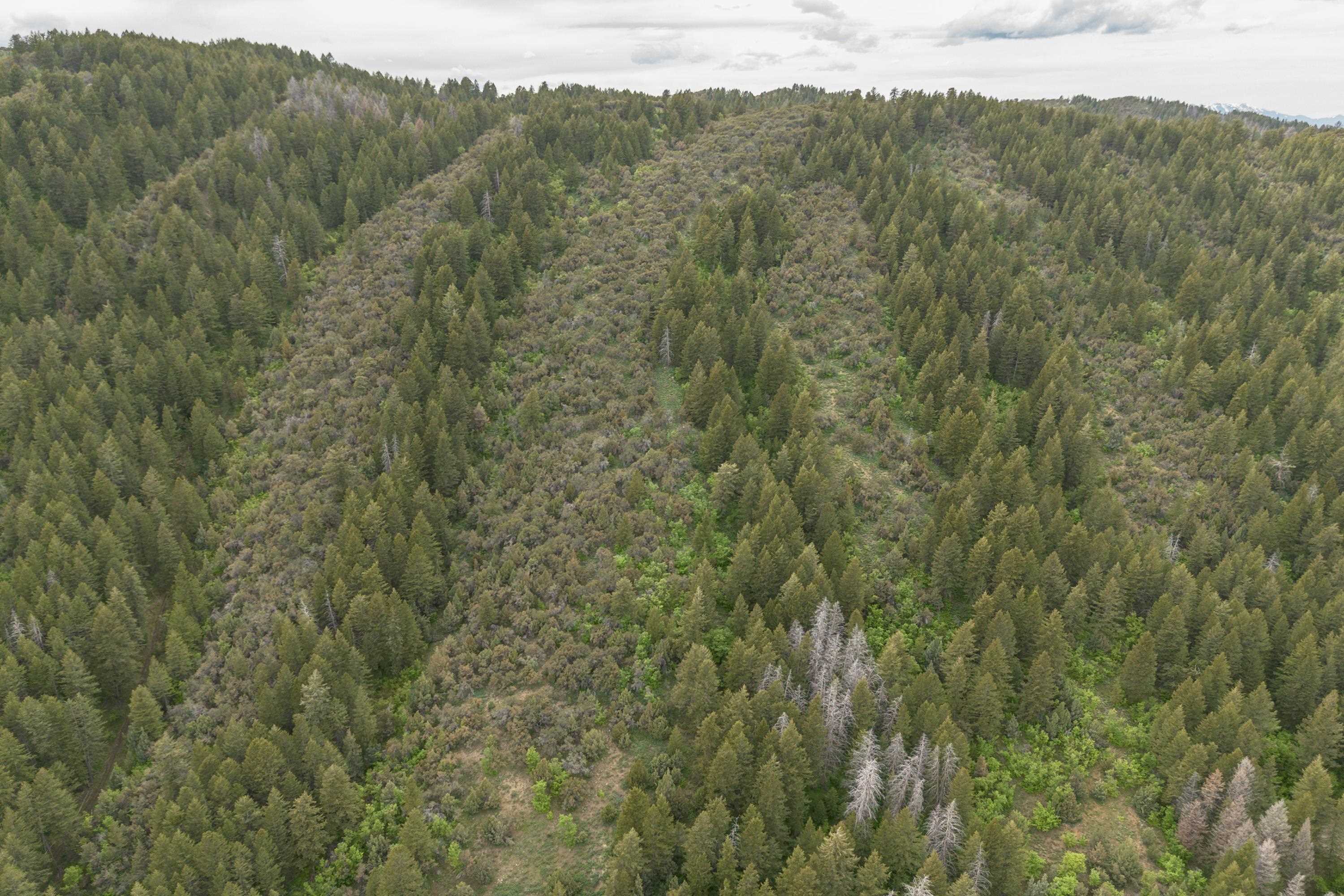 00 Smith Canyon Road, Lava Hot Springs, Idaho image 15