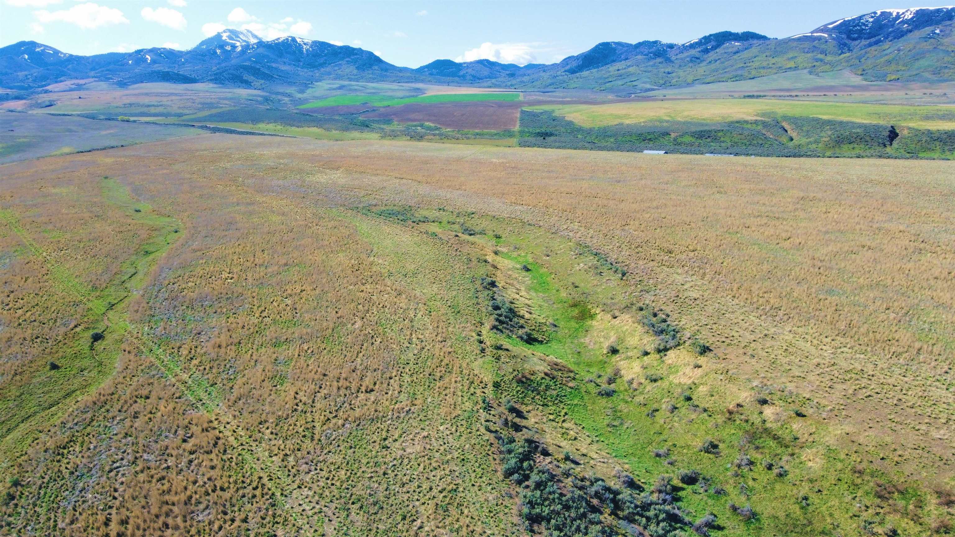 TBD 71ac Cherry Creek, Downey, Idaho image 12