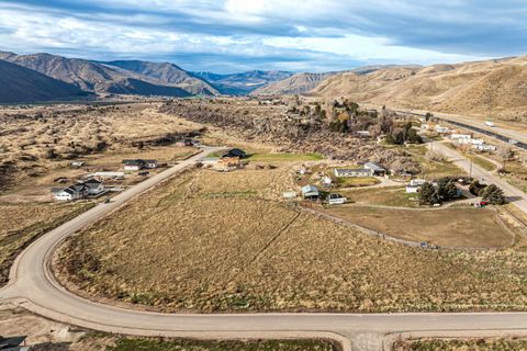 Vacant Land For Sale - TBD 29 Blk 3 Alden Loop<br/> Bannock County, Inkom, ID 83245