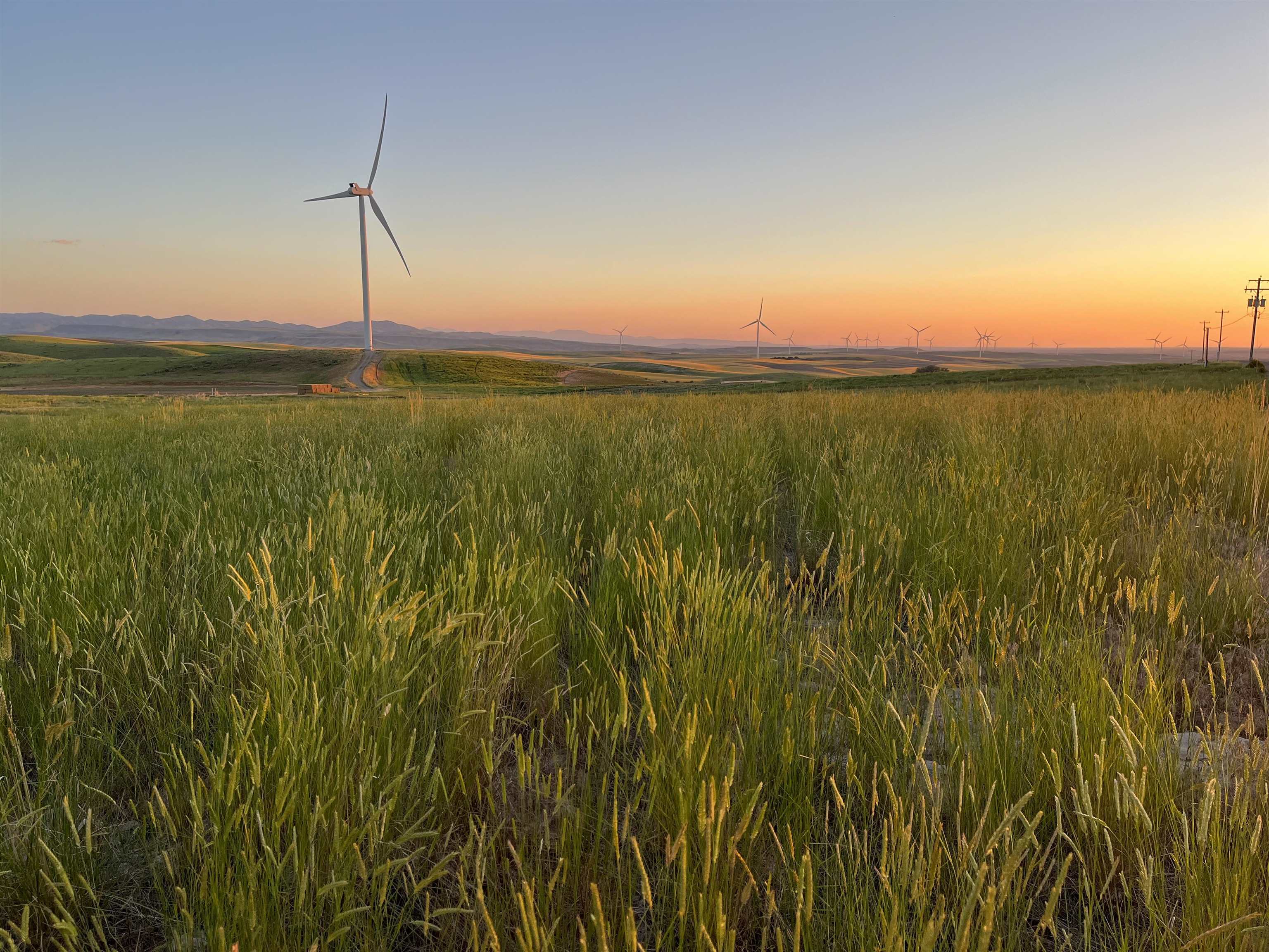 2875 Little Creek Road #LOT 3, American Falls, Idaho image 6