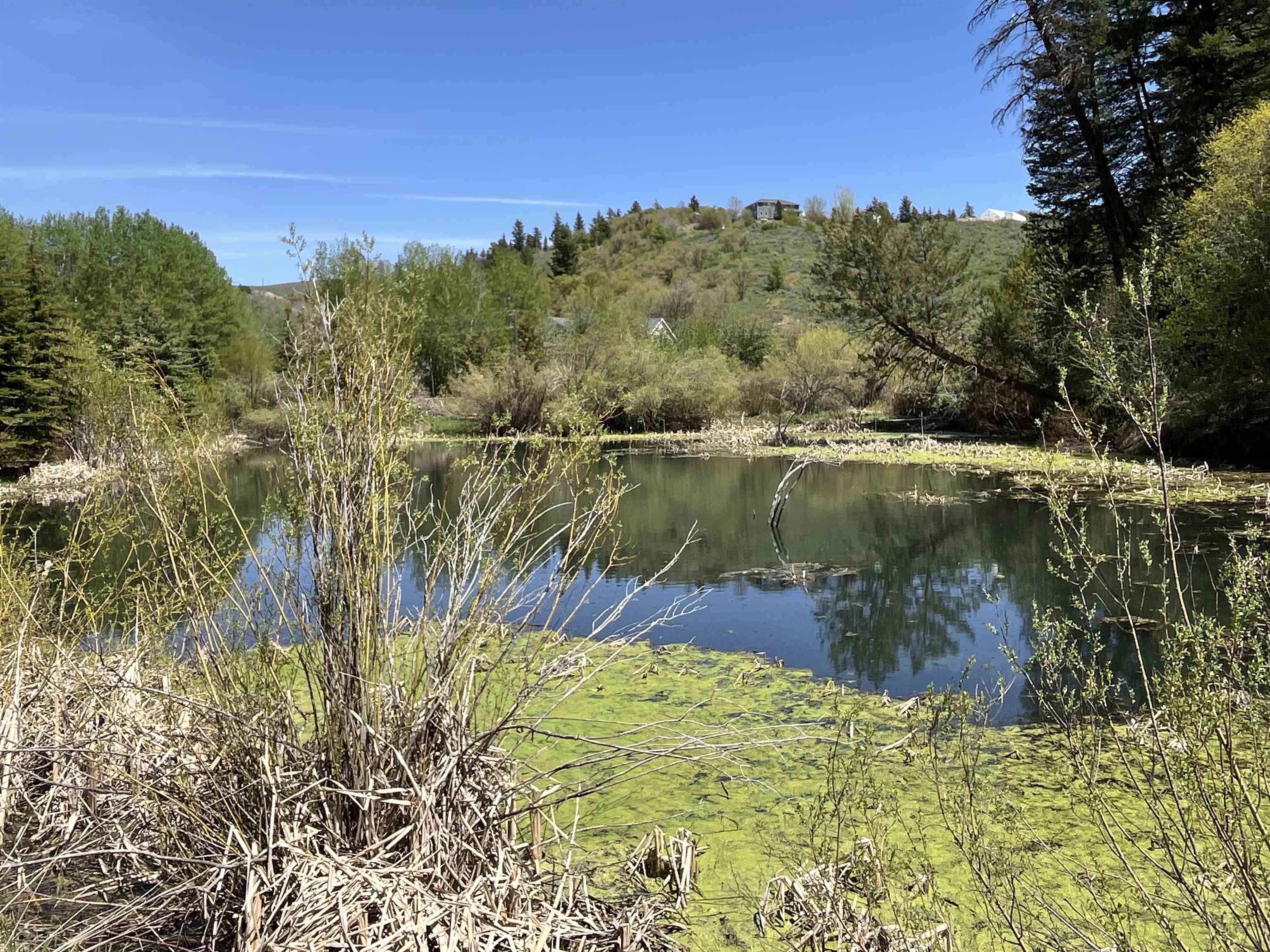 W Whispering Pines Road, Pocatello, Idaho image 42