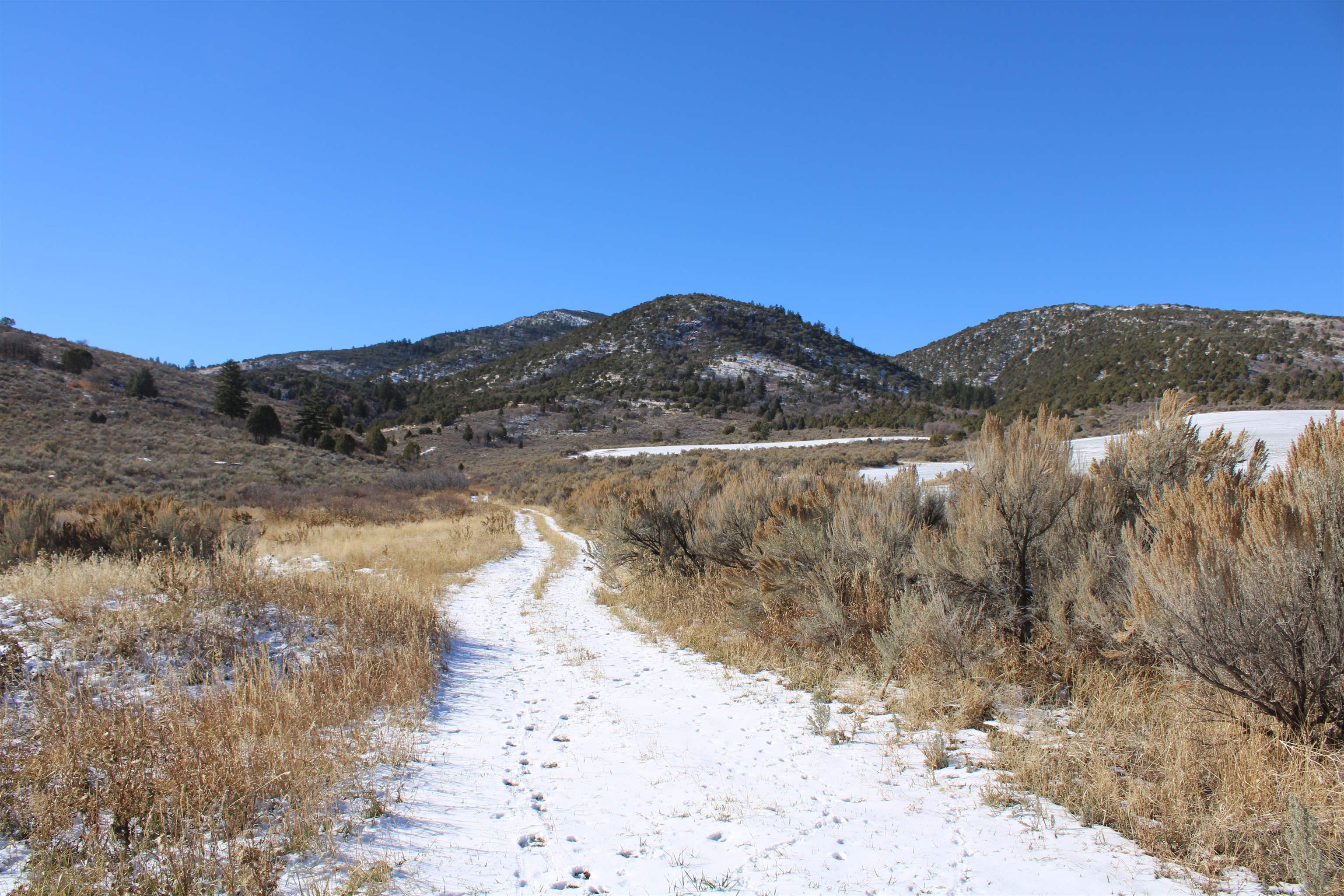 955-943 Hegstrom Road, Grace, Idaho image 32