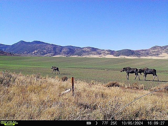 955-943 Hegstrom Road, Grace, Idaho image 36