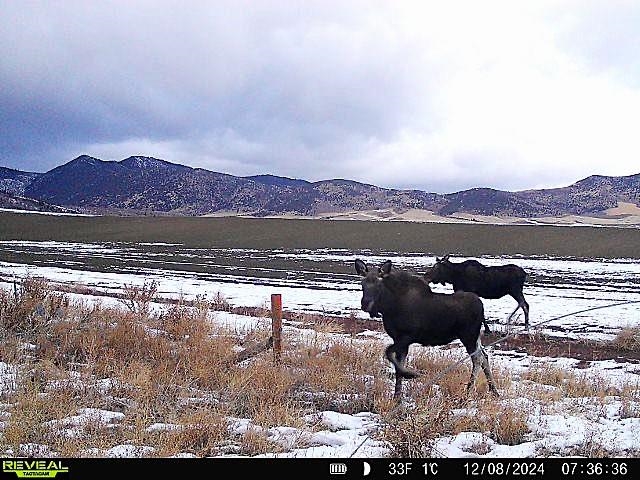 955-943 Hegstrom Road, Grace, Idaho image 33