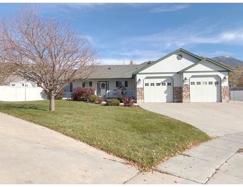 Homes For Sale - 221 E Putnam Mountain Loop<br/> Inkom, ID 83245