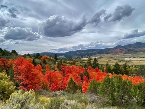 Vacant Land For Sale - LOT 28 Selkirk Rd<br/> Lava Hot Springs, ID 83245