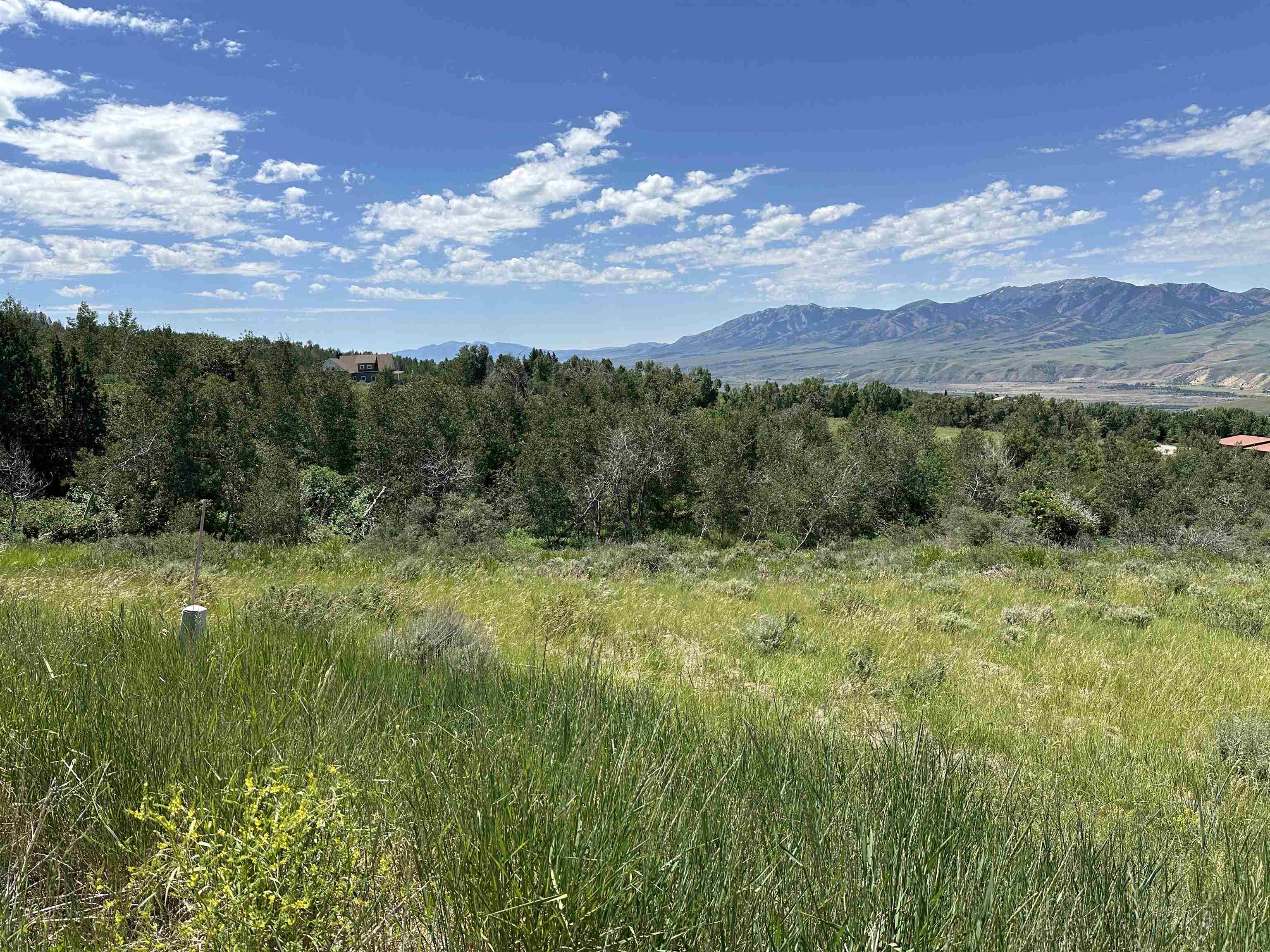 LOT 8 Gails Gulch, Inkom, Idaho image 4