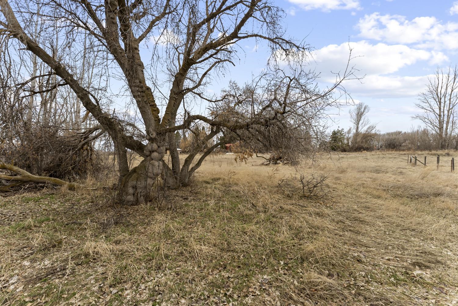 3998 E 600 N, Rigby, Idaho image 39