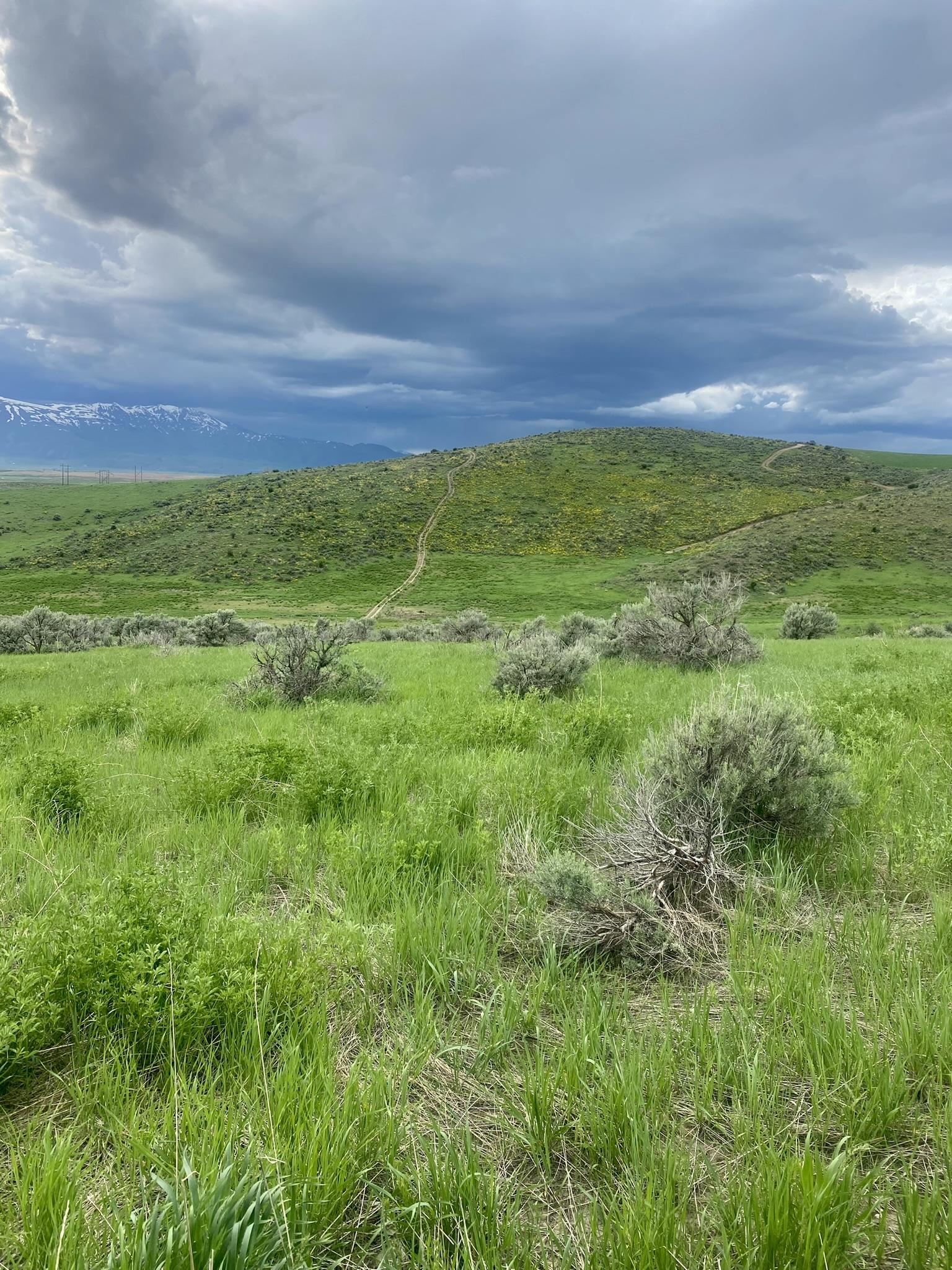 NNA Hwy 34, Preston, Idaho image 4