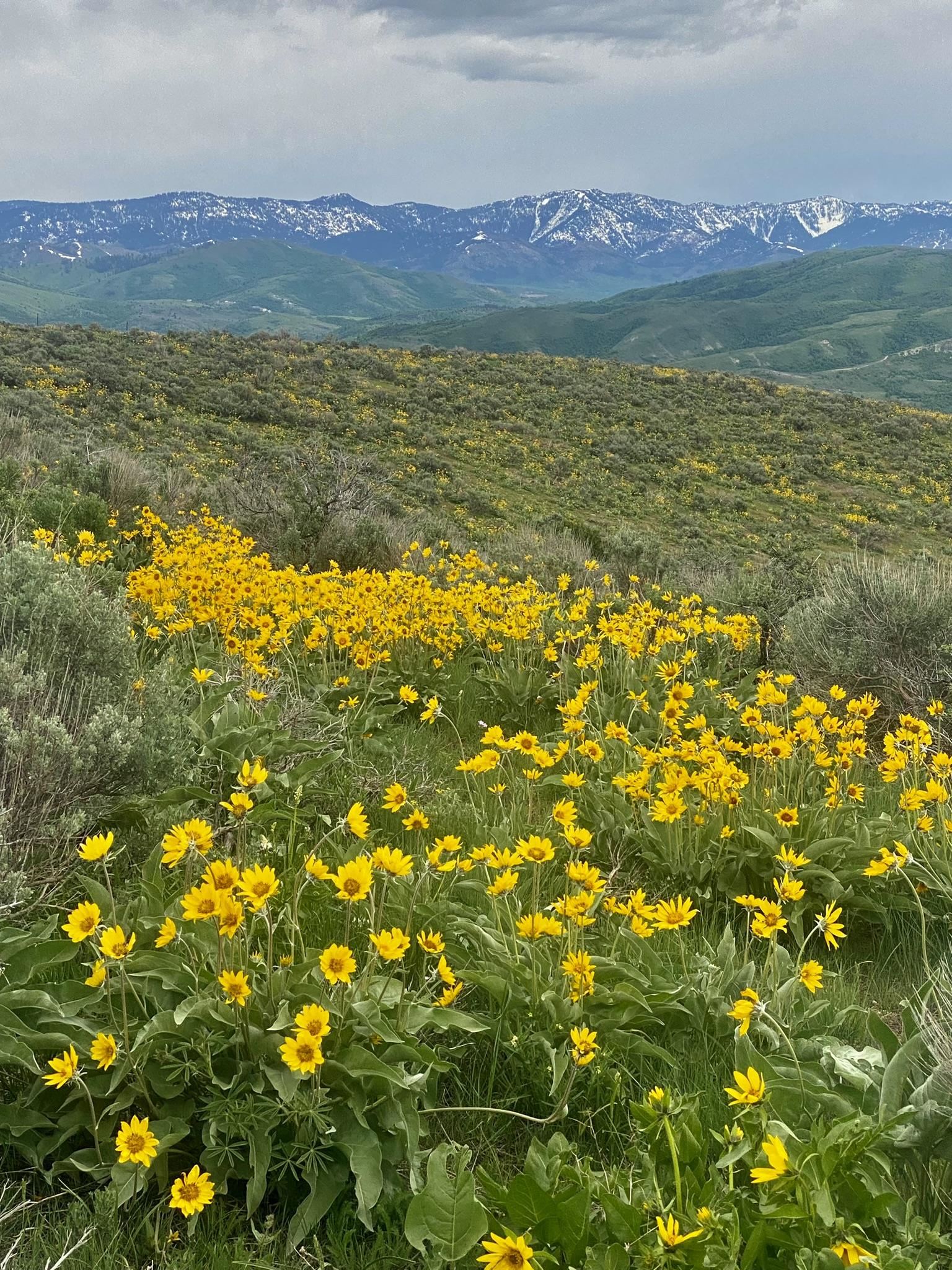 NNA Hwy 34, Preston, Idaho image 9