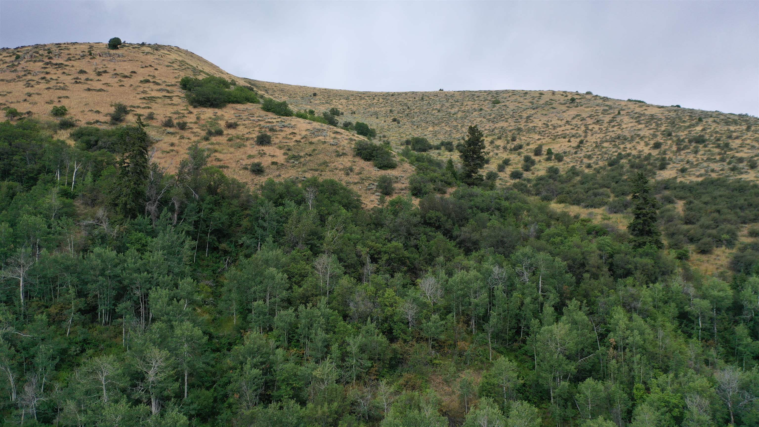 001 Skinner Canyon Road, Montpelier, Idaho image 30