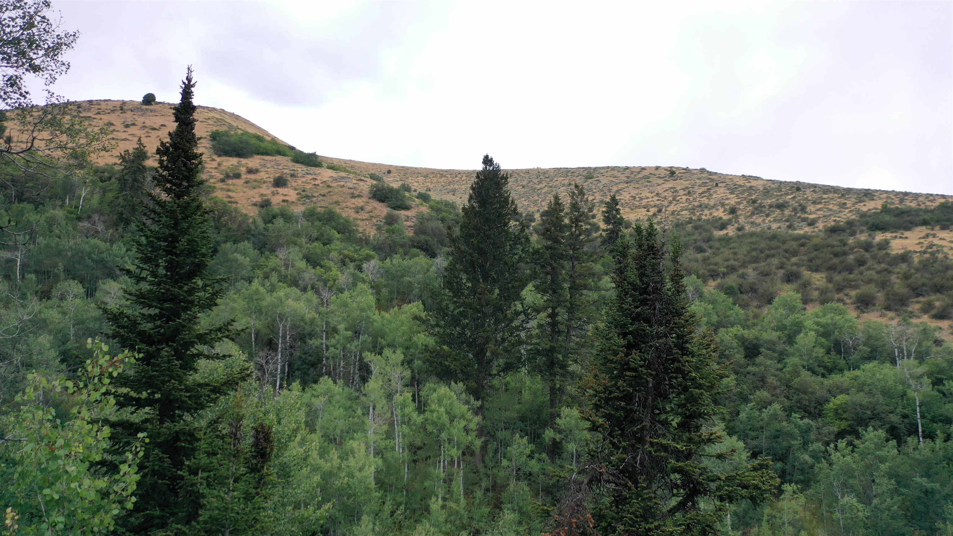 001 Skinner Canyon Road, Montpelier, Idaho image 26